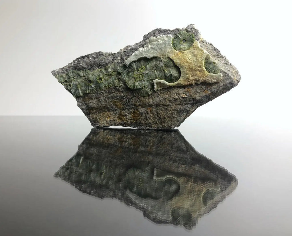 Adventures in Collecting Arkansas Minerals