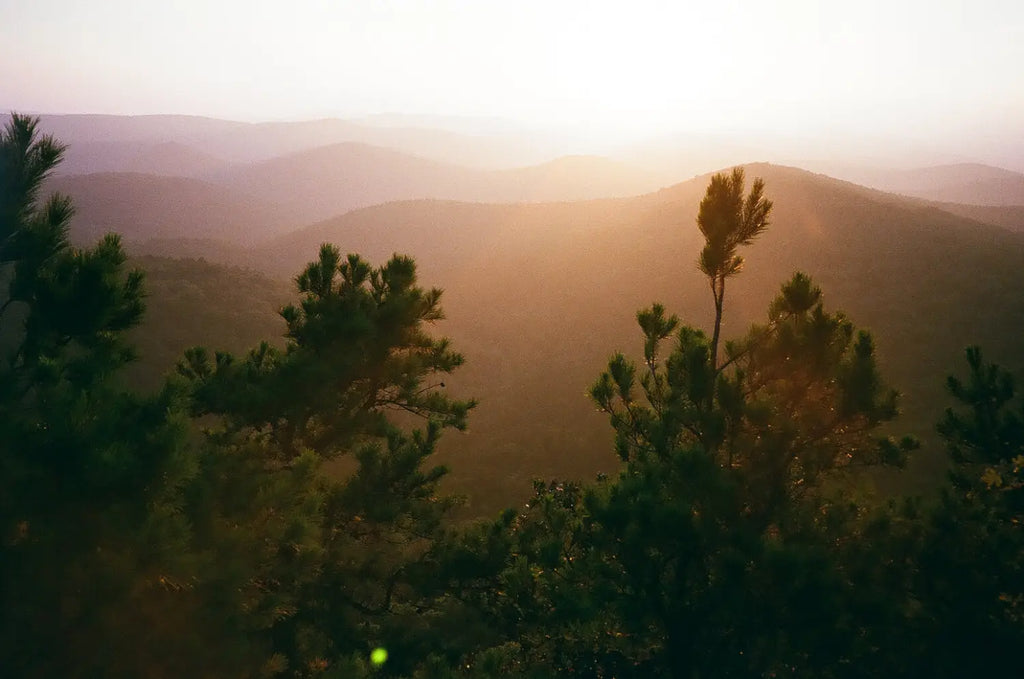 Adventures in Collecting Arkansas Minerals