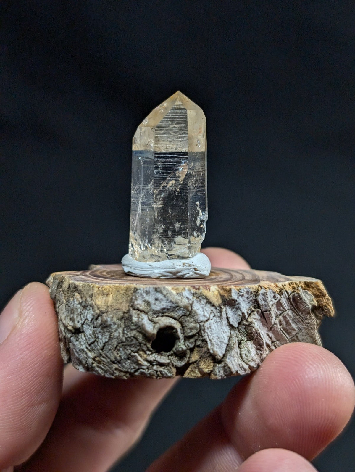 A clear, translucent quartz crystal with a pointed tip and visible internal striations stands upright on a rustic wooden slice base.