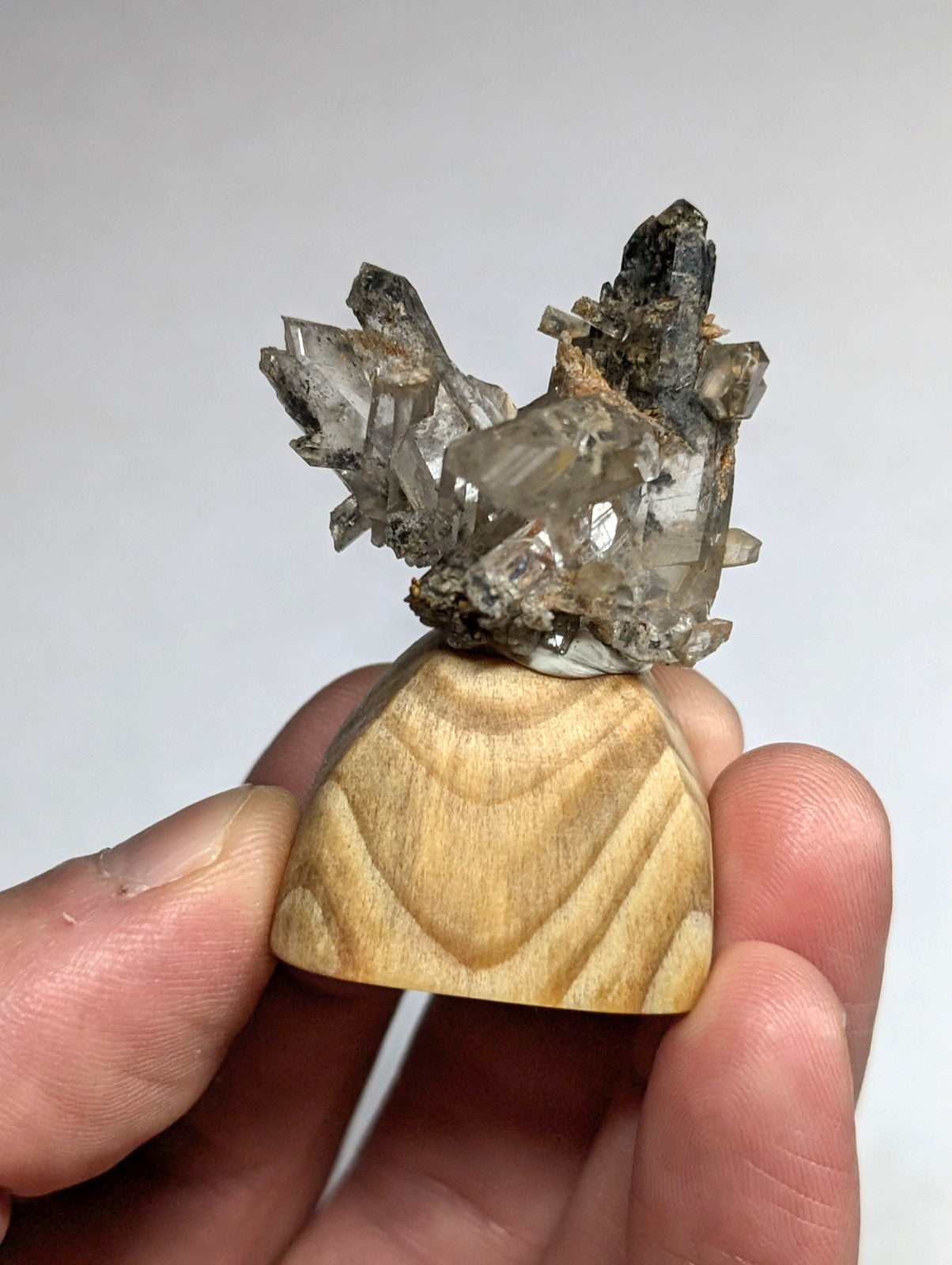 A hand holds a wooden base supporting a cluster of translucent, grayish quartz crystals with darkened tips and earthy matrix.