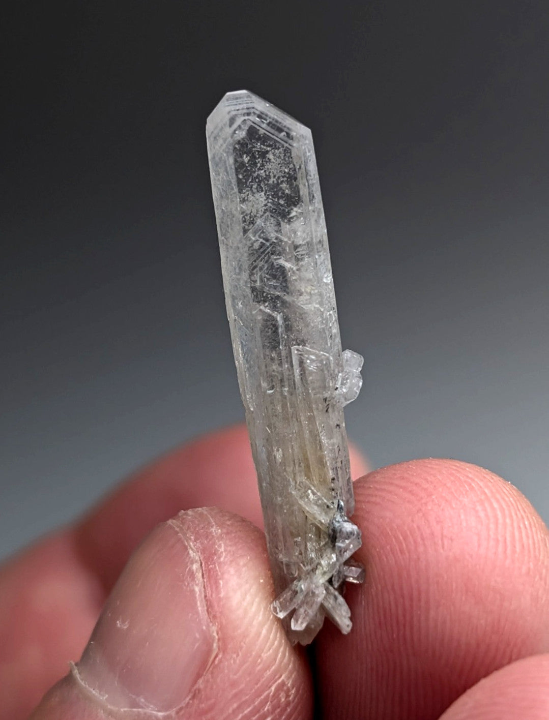 A clear translucent quartz crystal with pointed tip and internal striations from chamberlain creek old stock
