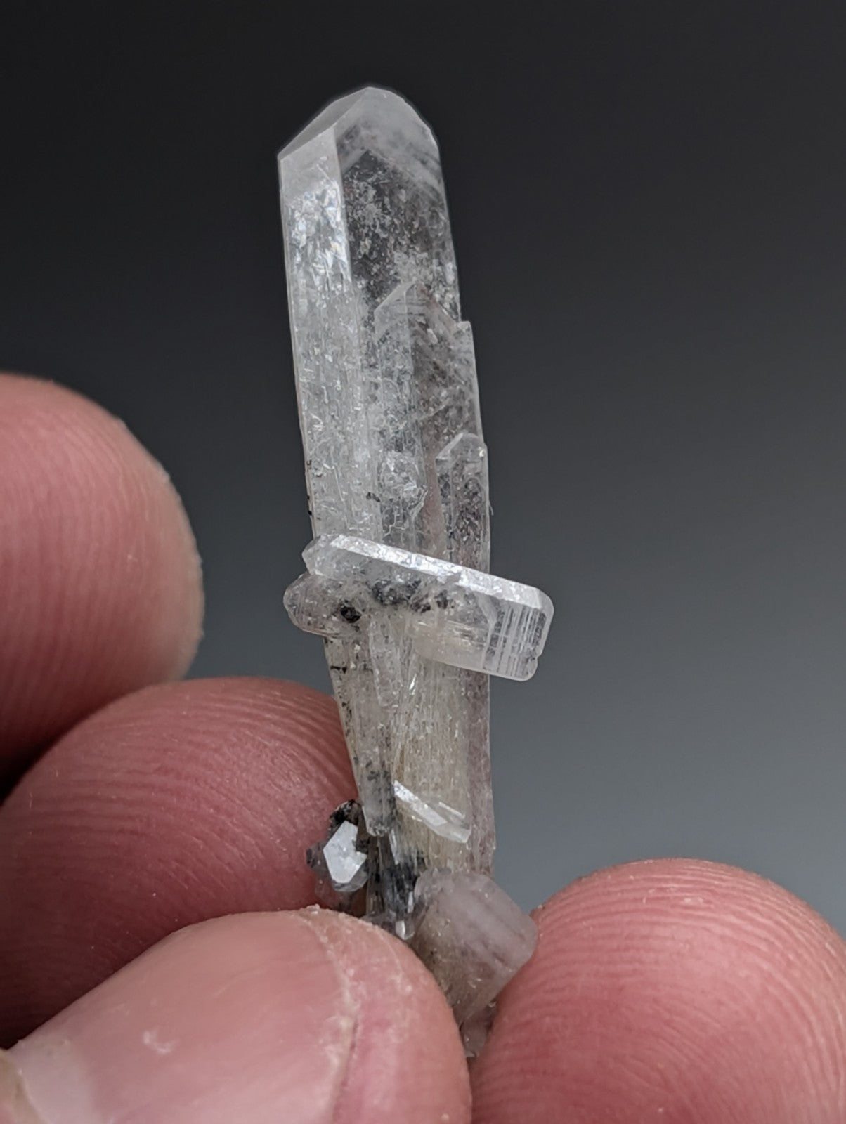 A clear translucent quartz crystal with pointed tip and internal inclusions from Magnet Cove Arkansas with case