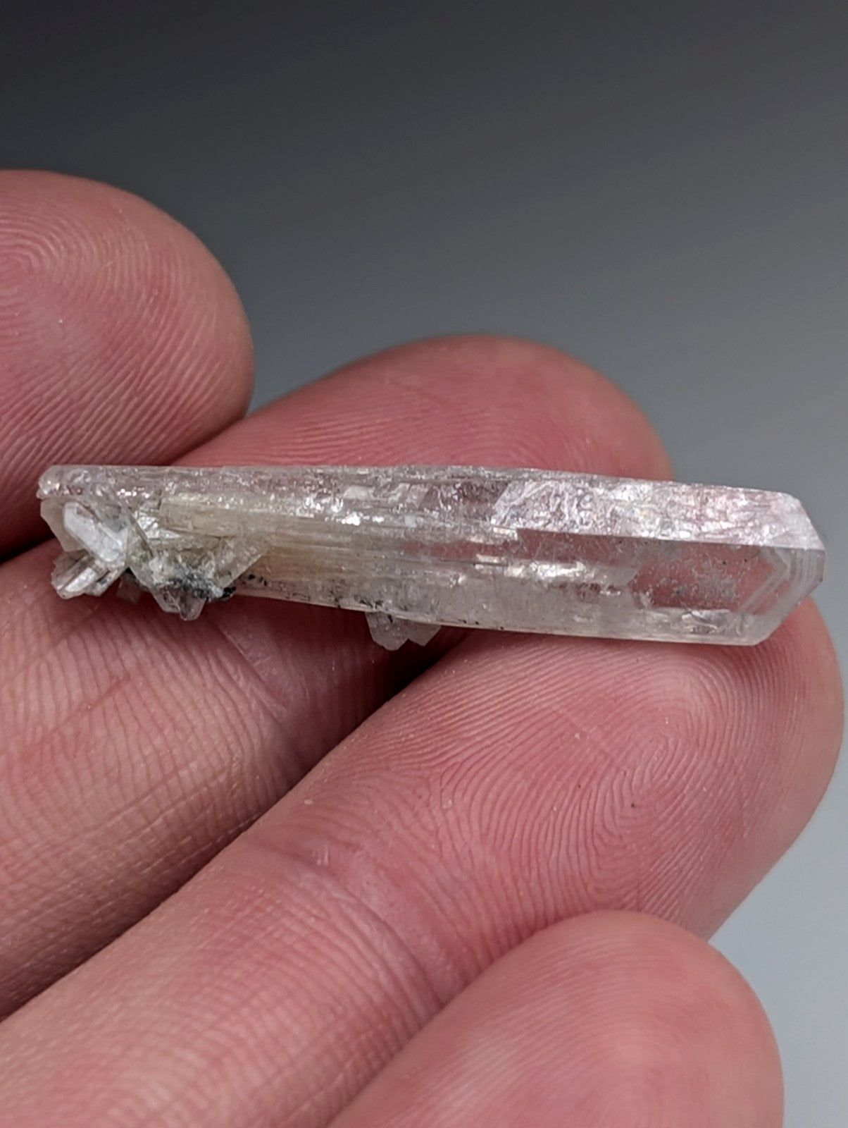 A translucent clear quartz crystal with subtle striations from chamberlain creek magnet cove arkansas with case
