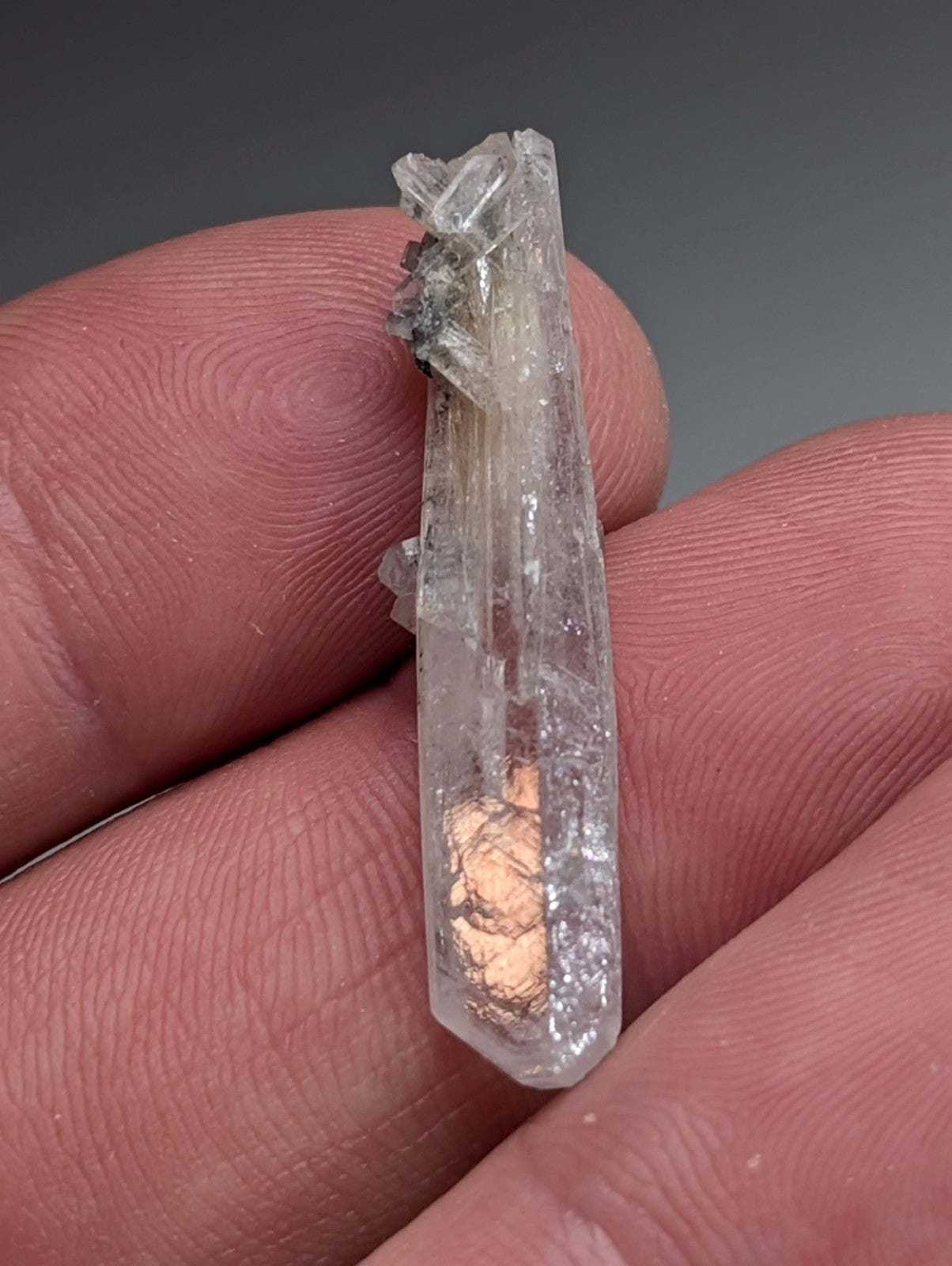 A translucent clear quartz crystal with a jagged top and smooth base from chamberlain creek magnet cove, arkansas