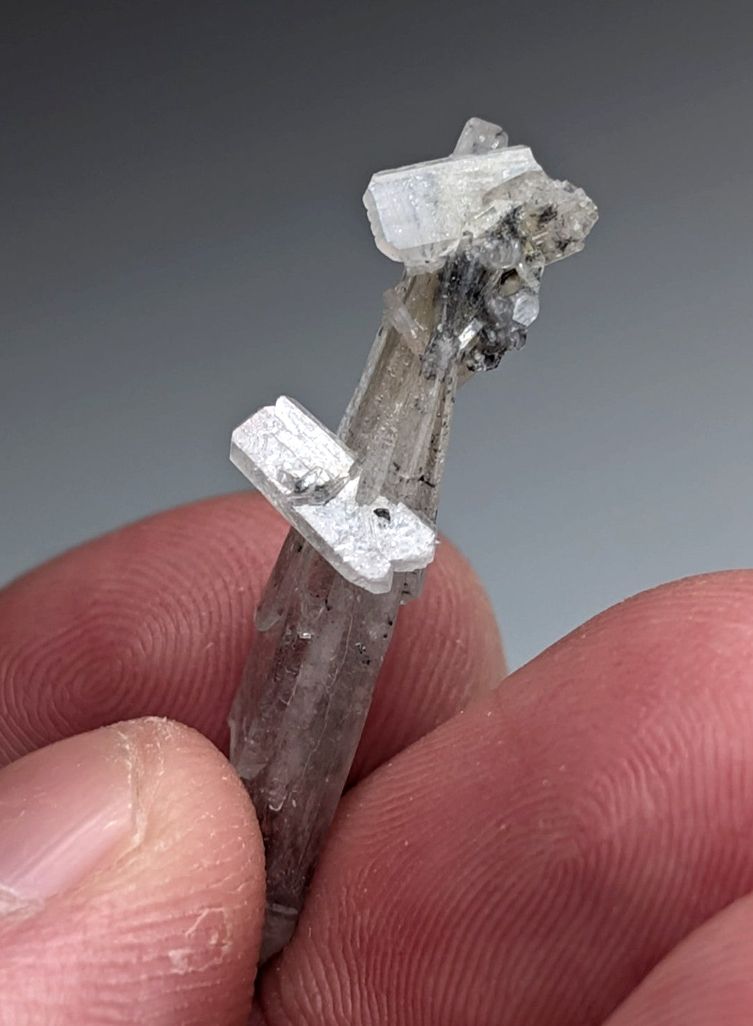 A translucent clear quartz crystal formation with white growths and a rough base from magnet cove arkansas with case