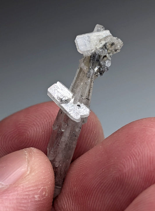 A translucent clear quartz crystal formation with white growths and a rough base from magnet cove arkansas with case