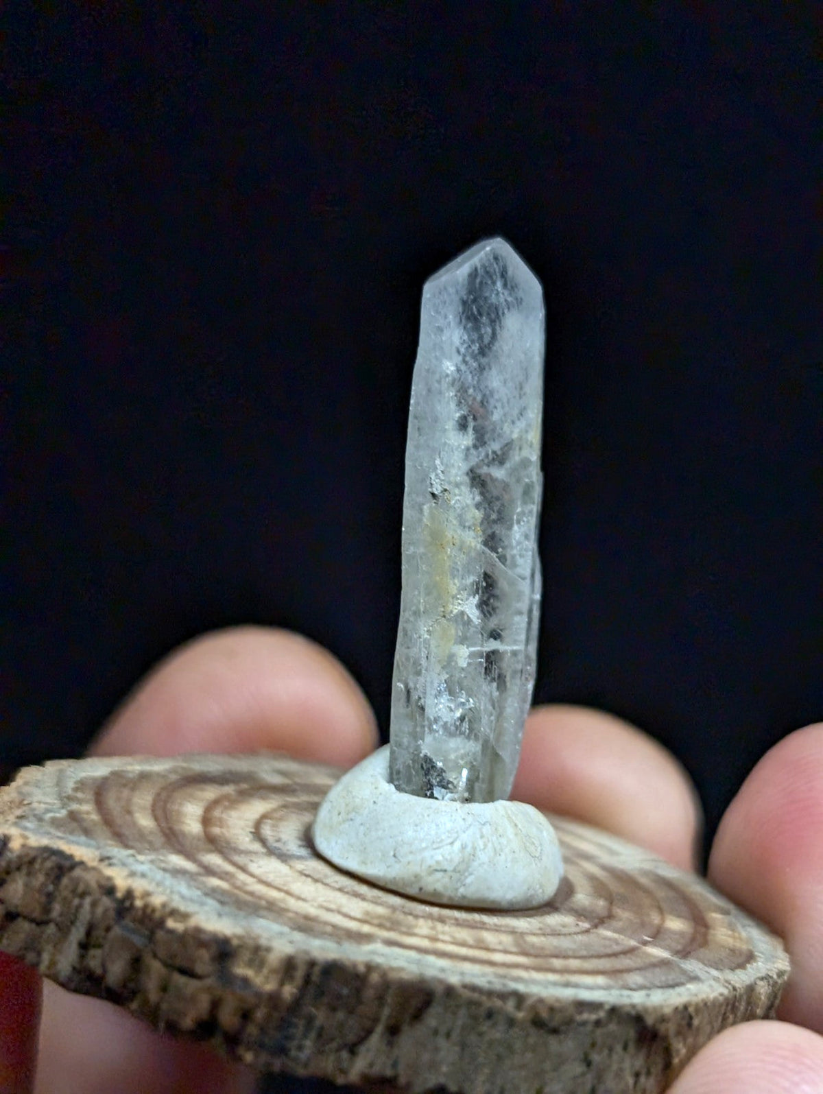 A translucent, clear quartz crystal with a pointed tip and natural inclusions stands upright on a small white base atop a rustic wooden slice.