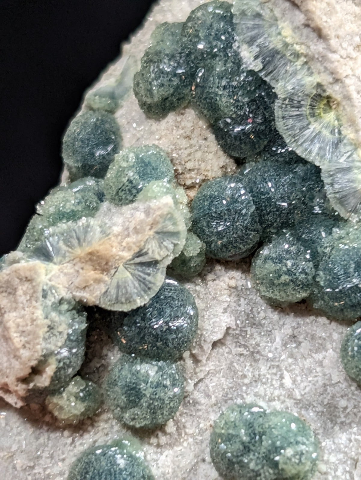 Glistening green spherical mineral formations with translucent, fan-like crystalline structures nestled within a rough-textured rock matrix.