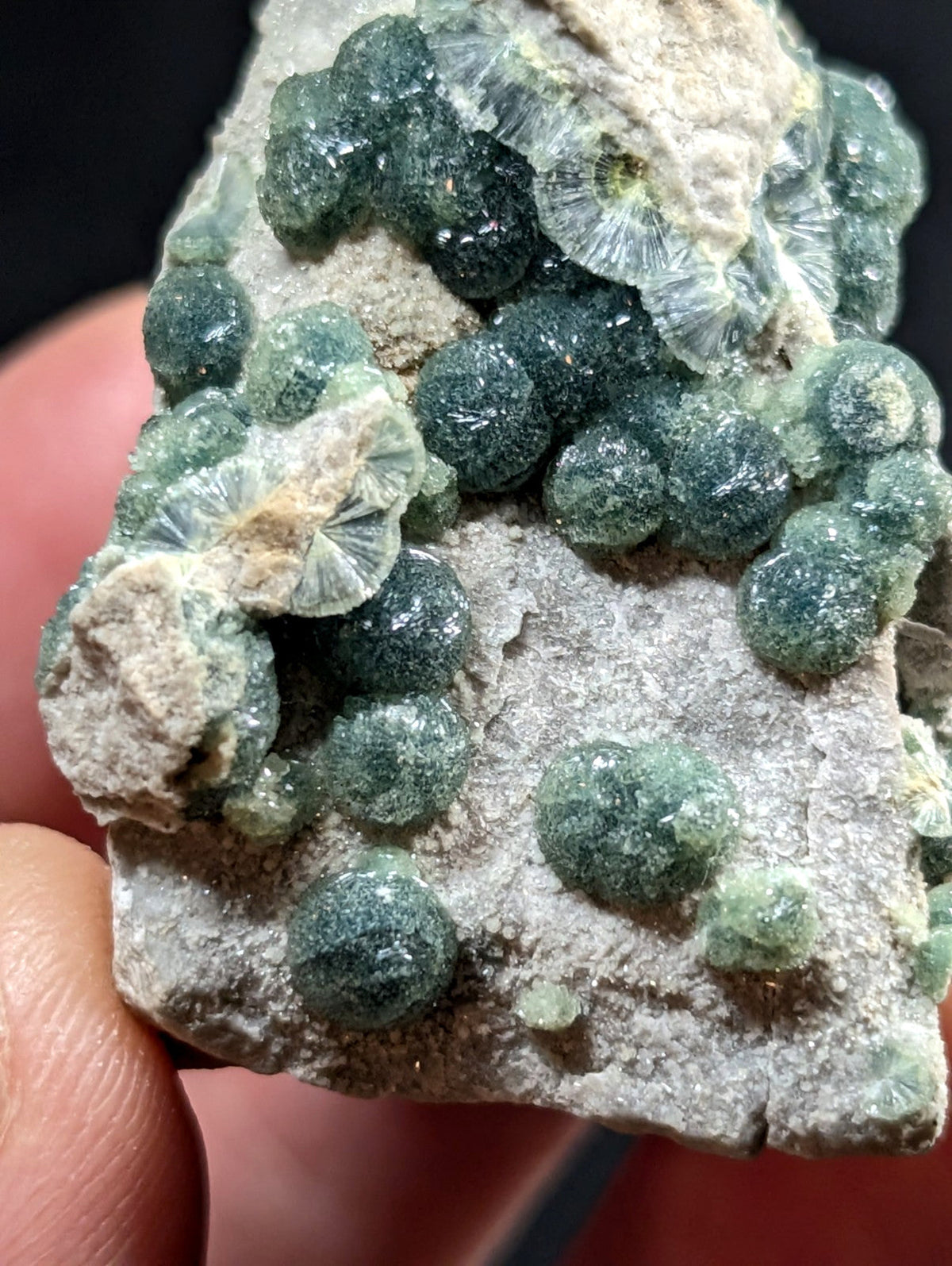 A cluster of translucent green spherical crystals with delicate, fan-like radiating structures growing from a rough gray rock matrix.