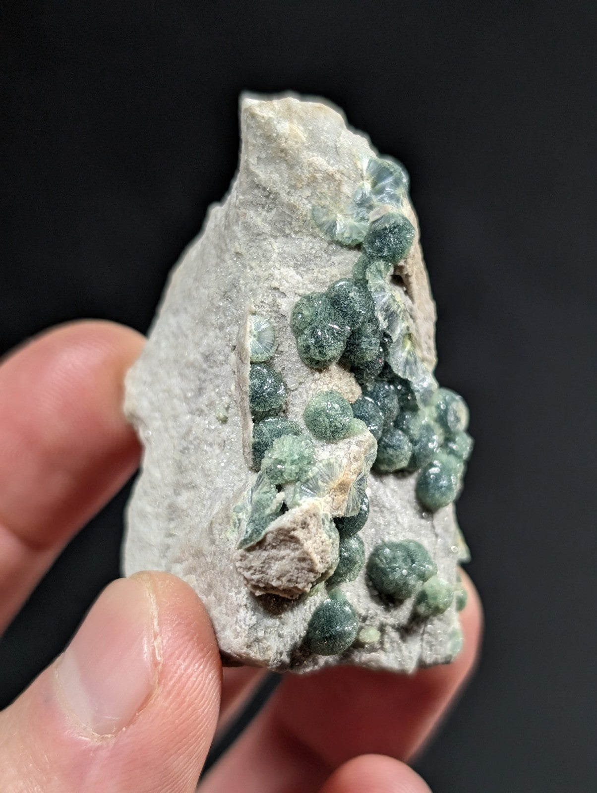 A hand holds a light gray rock specimen featuring clusters of translucent, greenish-blue spherical crystals.