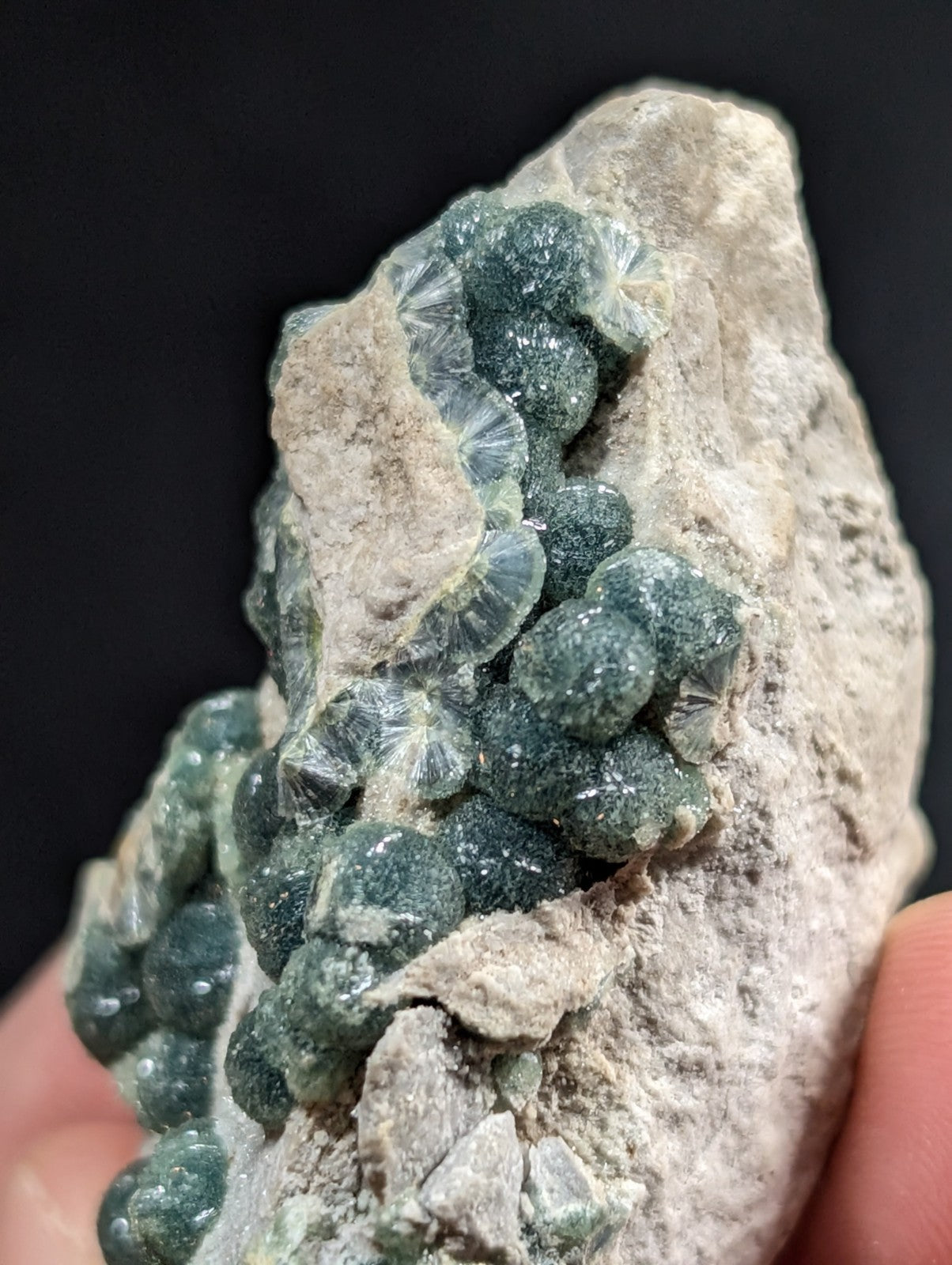 A cluster of translucent greenish-blue, spherical crystals with a crystalline texture grows from the surface of a light gray rock.