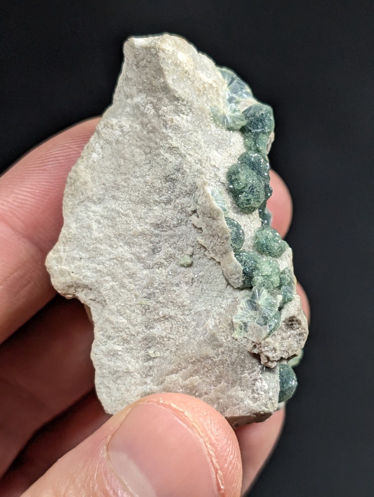 A hand holds a rough, light gray rock specimen featuring clusters of small, rounded green crystals along its edge.