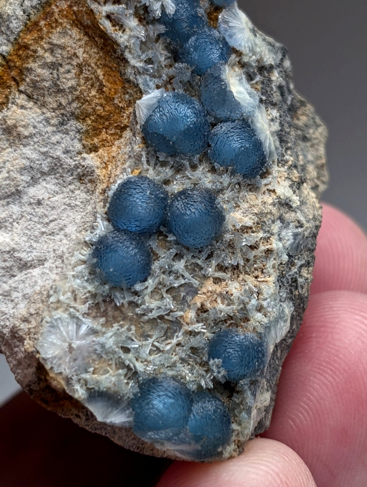 A cluster of deep blue translucent spherical wavellite crystals embedded in gray rock from mauldin mountain arkansas