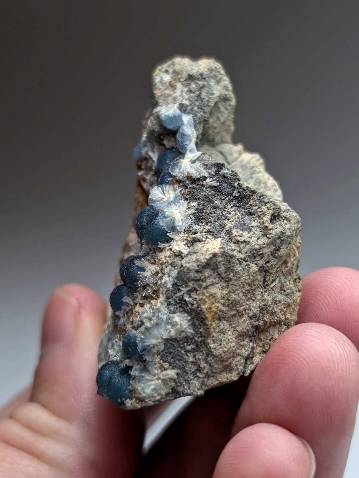 A rough gray rock with deep blue spherical wavellite crystals and white feathery mineral growths from Mauldin Mountain Arkansas