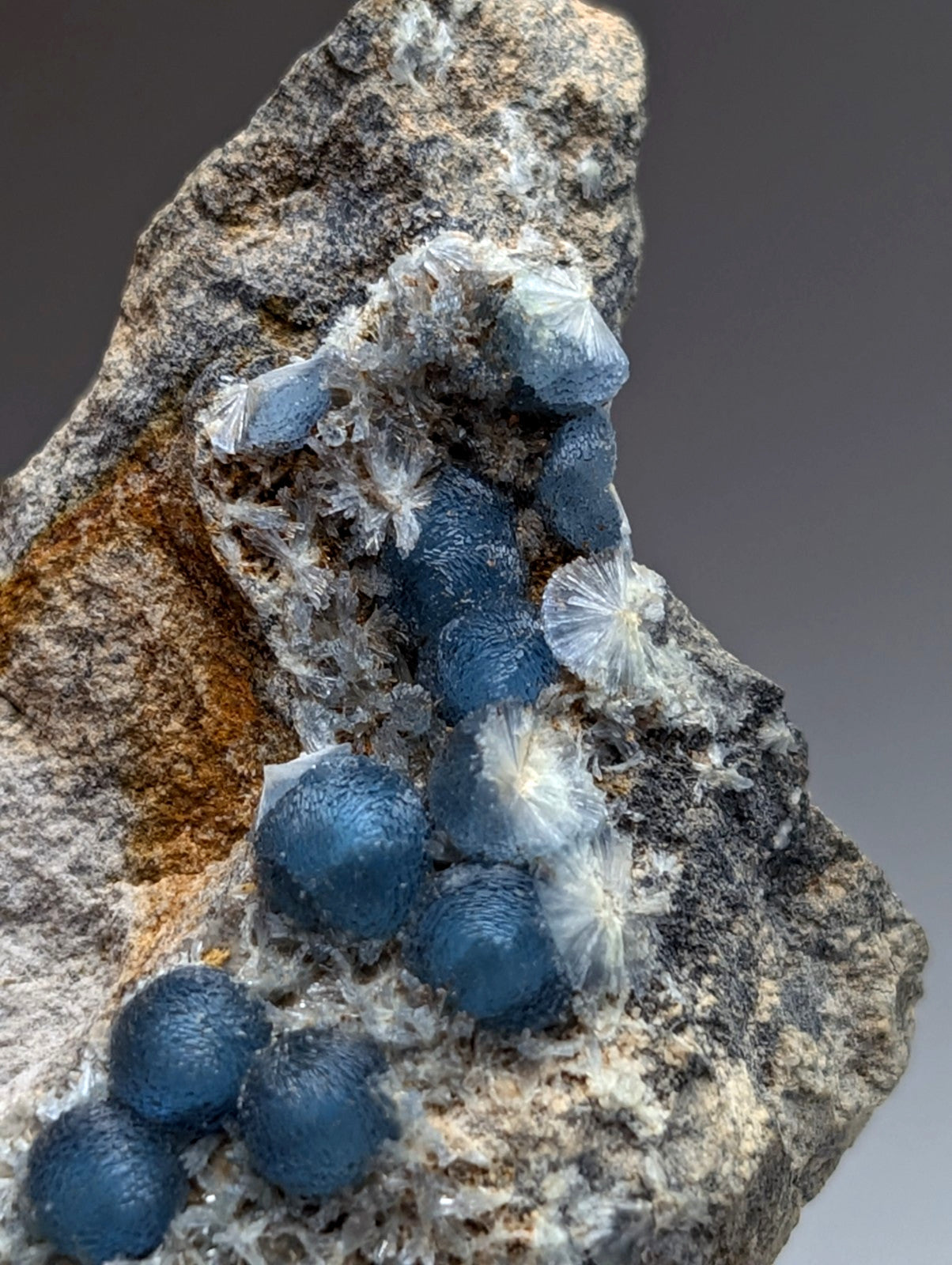 A+++ blue wavellite mineral with spherical textured crystals clustered on rugged rock matrix from Arkansas