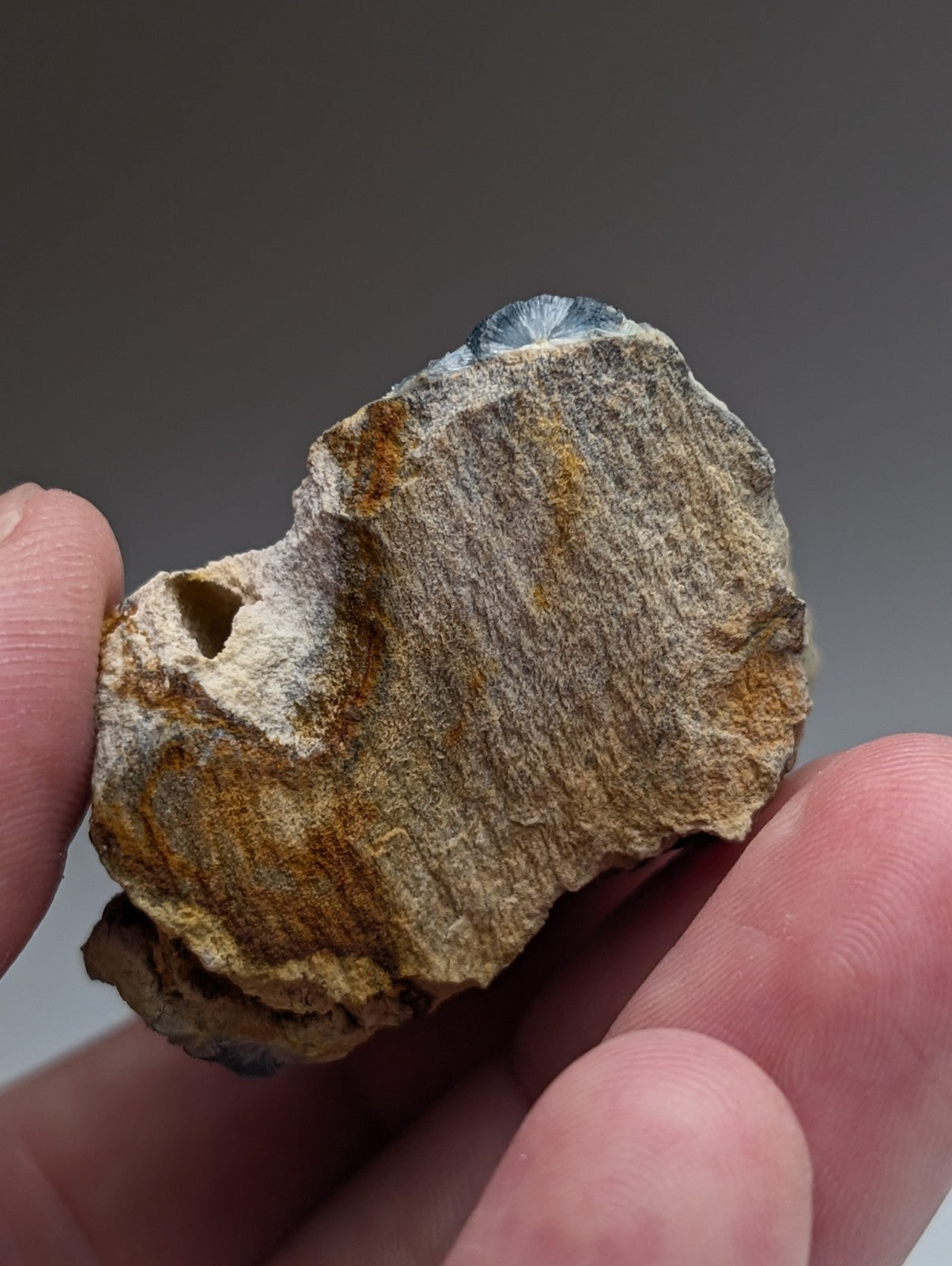A+++ blue wavellite stone from mauldin mountain arkansas with rough textured surface and earthy brown gray tones