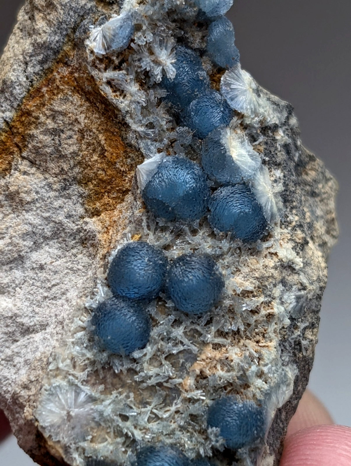 A cluster of deep blue spherical wavellite mineral formations with textured surfaces on white crystals from mauldin mountain