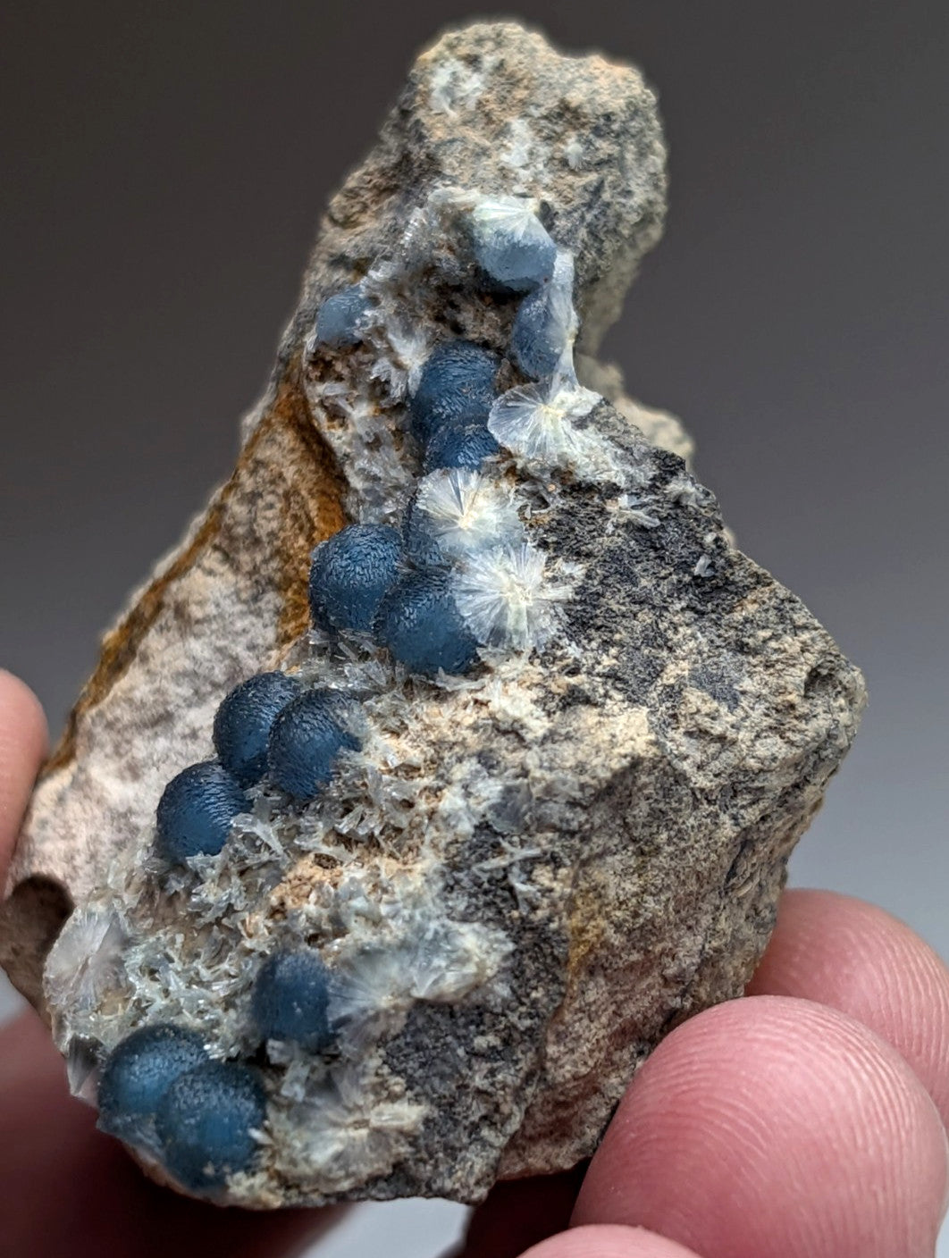 A cluster of deep blue spherical wavellite minerals in a rough gray rock matrix from mauldin mountain arkansas