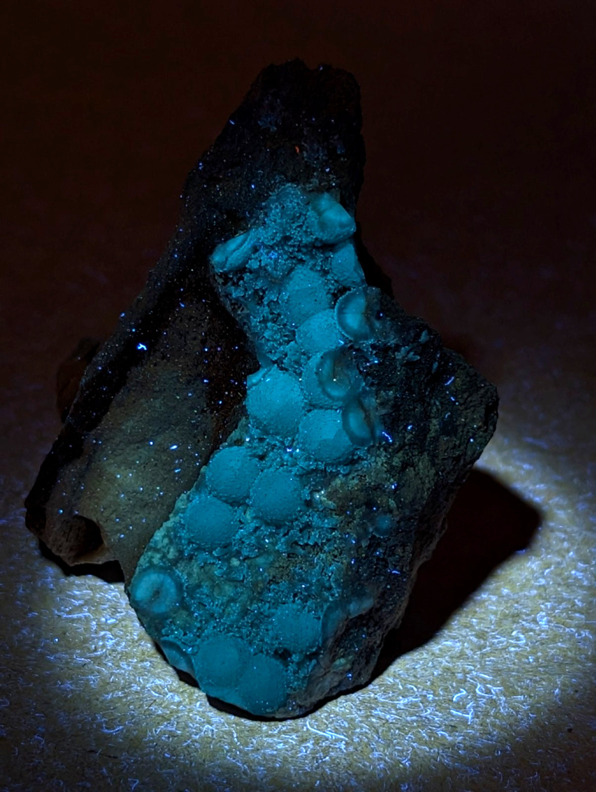 A+++ blue wavellite mineral with turquoise bubble formations in dark crystalline matrix from Mauldin Mountain Arkansas