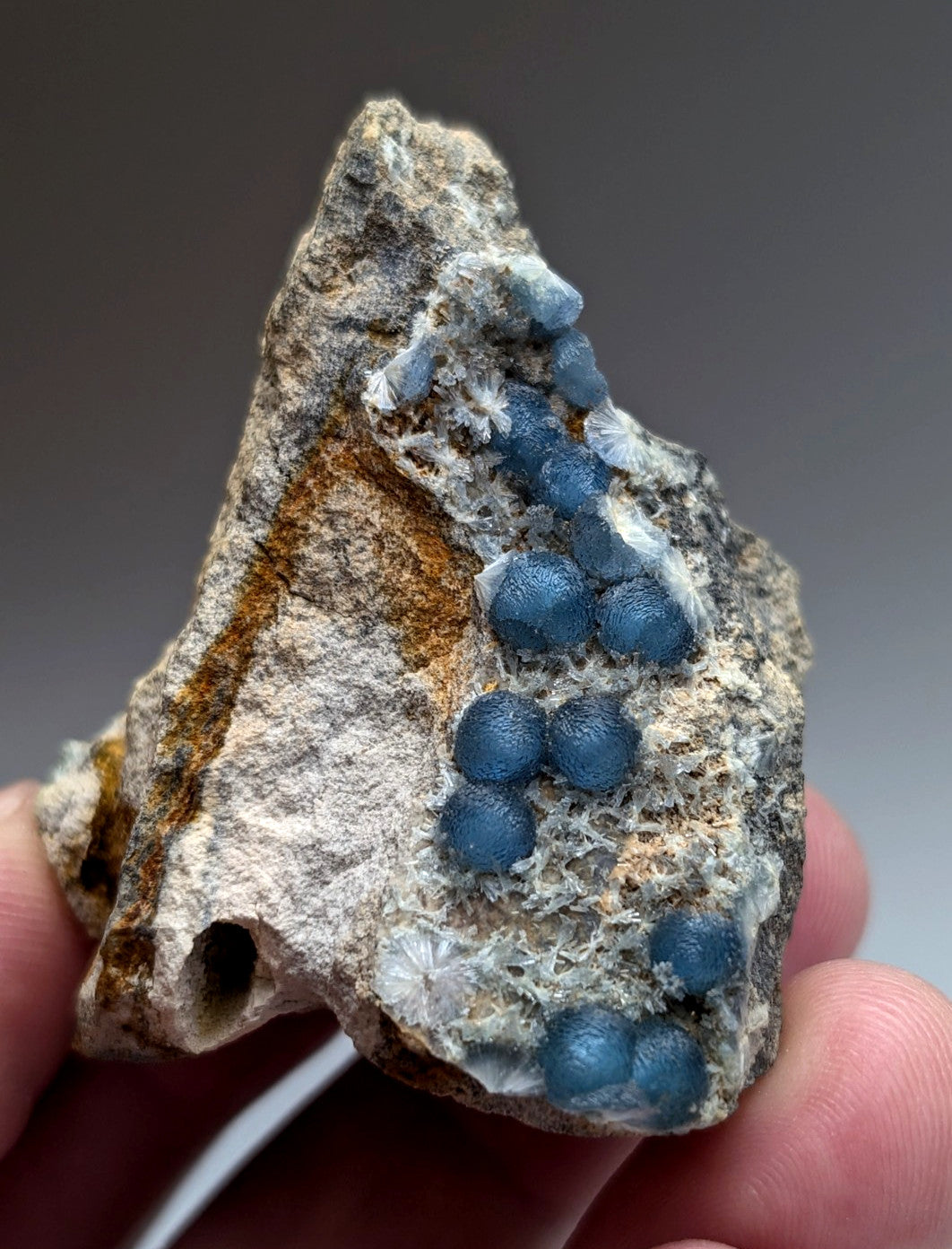 A hand holds a rare a+++ blue wavellite rock with vibrant blue spherical crystals from mauldin mountain arkansas
