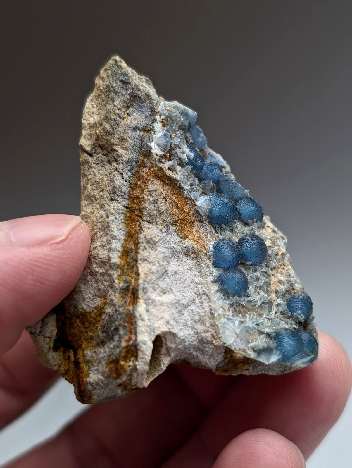 A hand holds a rare a+++ blue wavellite specimen with vibrant blue spherical crystals from mauldin mountain arkansas