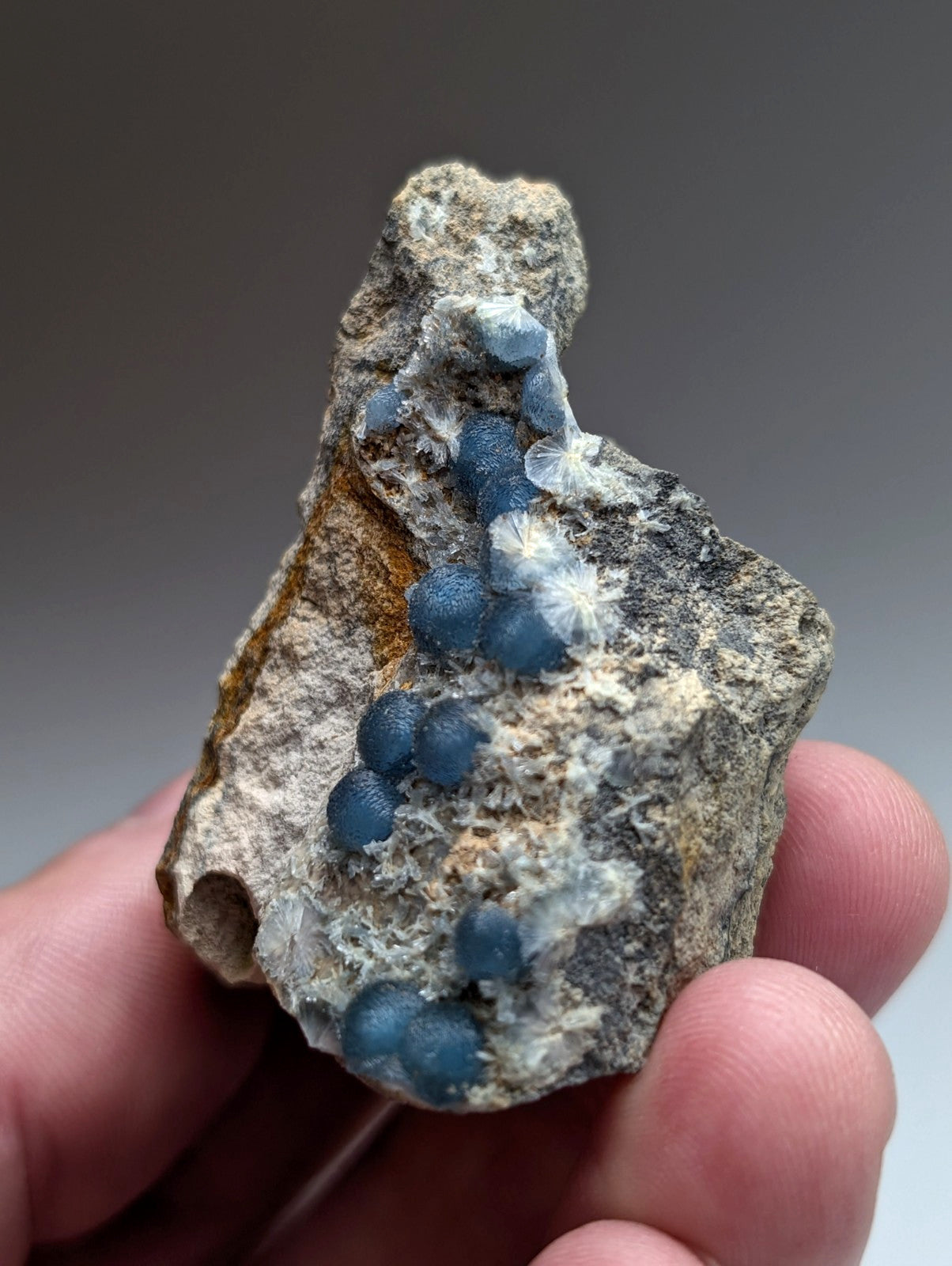 A hand holds a very rare A+++ blue wavellite with translucent blue spherical crystals from Mauldin Mountain Arkansas