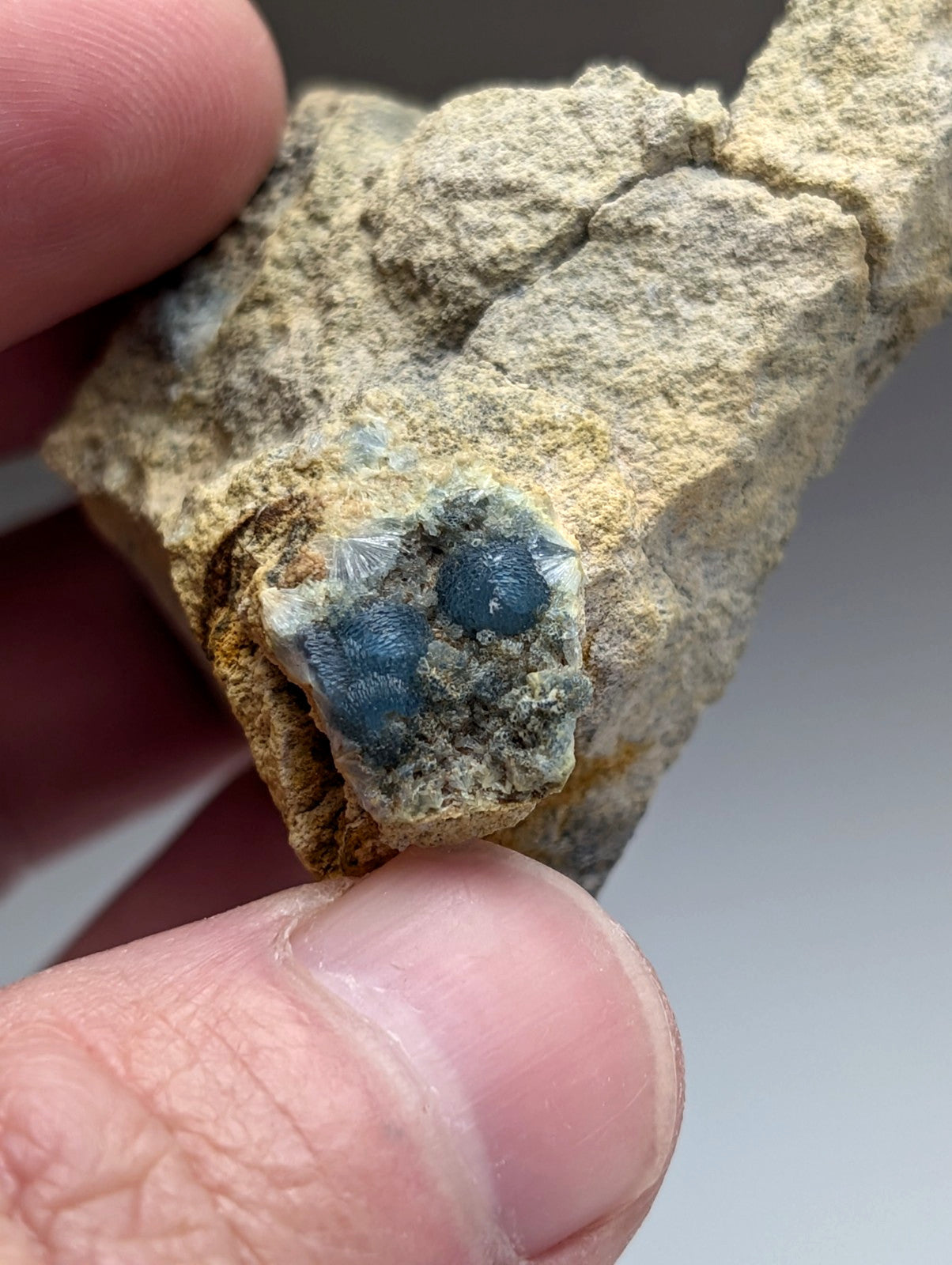 A hand holds a rough light beige rock with two deep blue translucent wavellite crystals from Arkansas