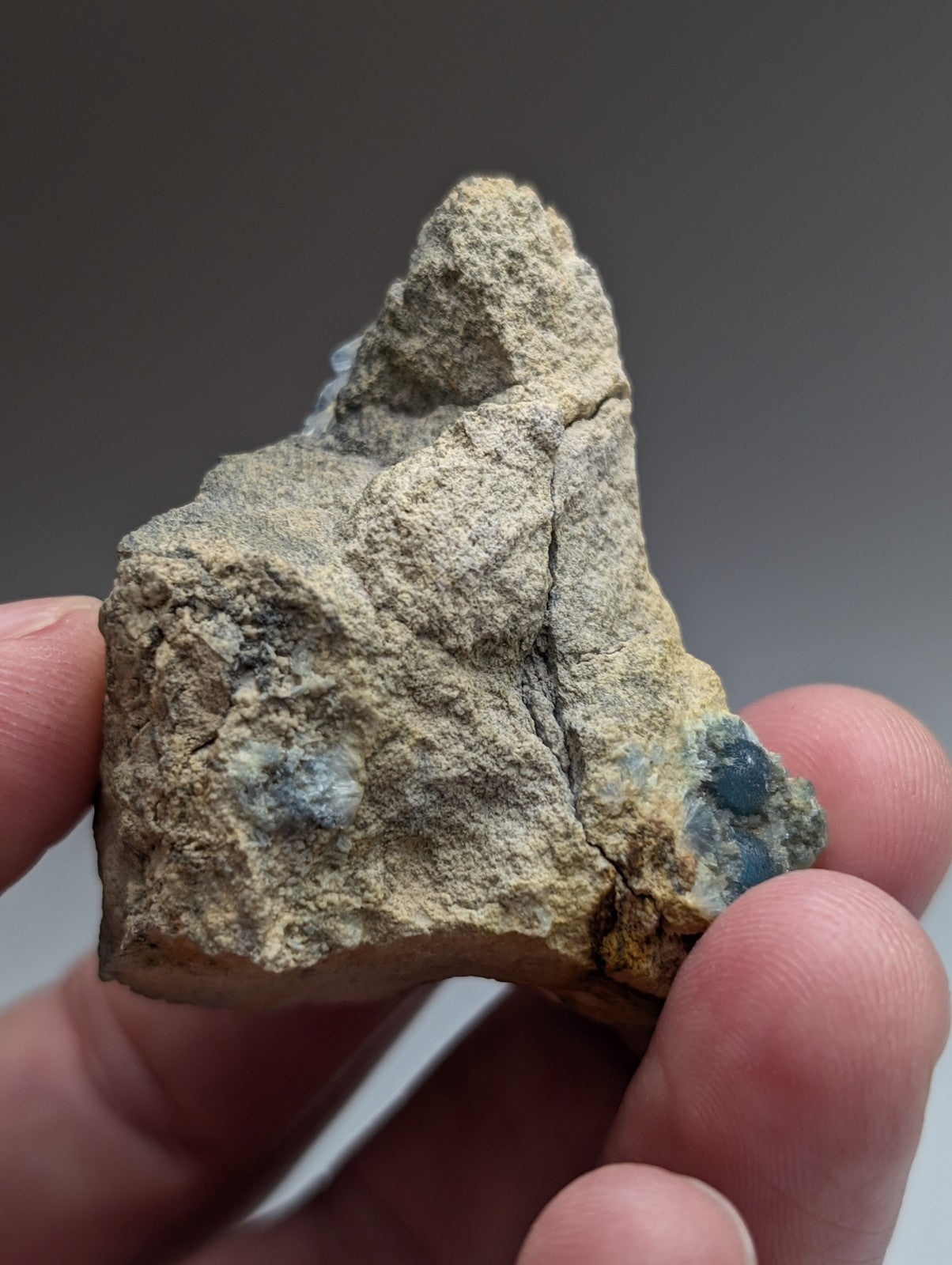 A hand holds a rough light beige rock with deep blue wavellite patches from Mauldin Mountain Arkansas very rare