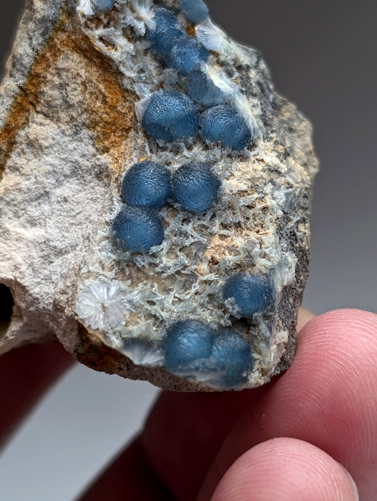 A cluster of glossy deep blue spherical wavellite crystals in gray rock matrix with white formations from mauldin mountain