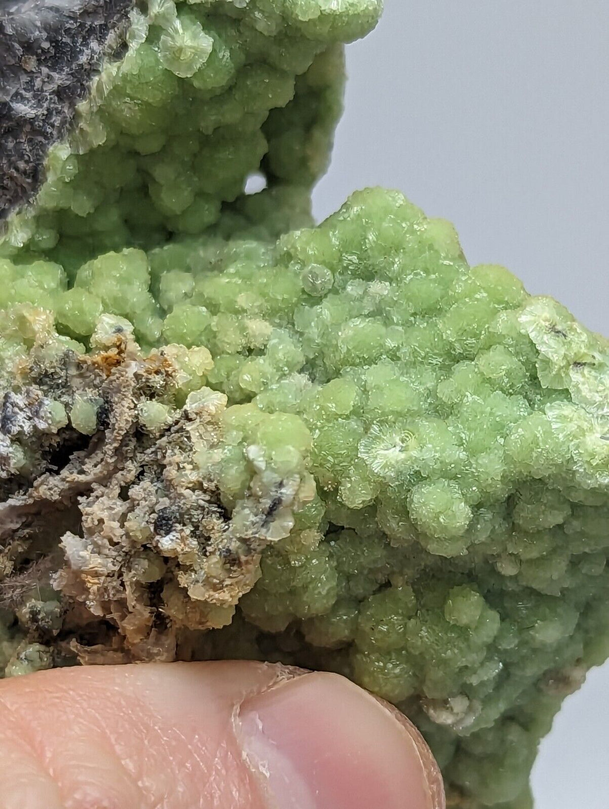 A + Bright Green Wavellite -Unique Stalactite - Mauldin Mountain Arkansas - Collectibles:Rocks Fossils &