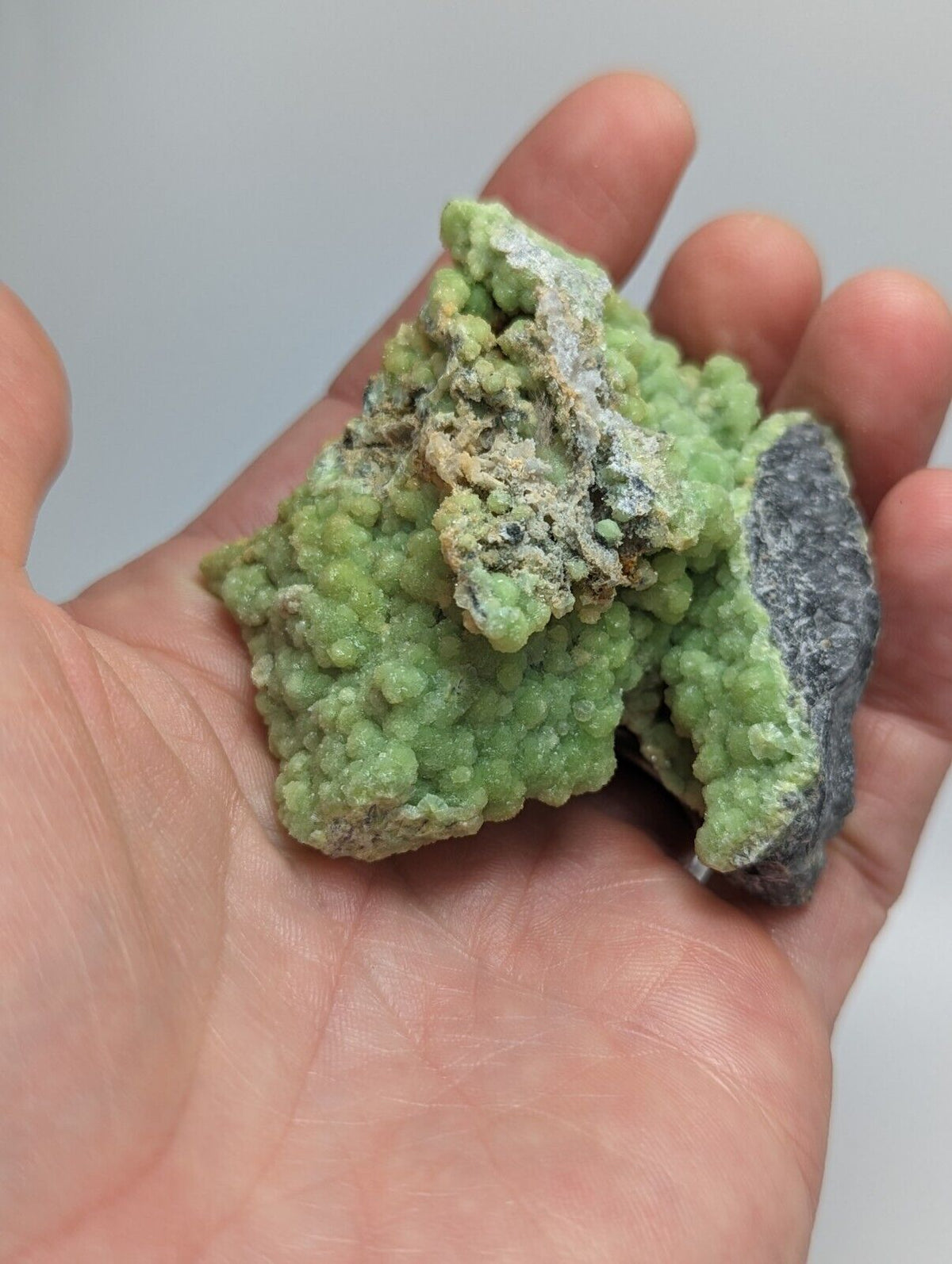 A + Bright Green Wavellite -Unique Stalactite - Mauldin Mountain Arkansas - Collectibles:Rocks Fossils &