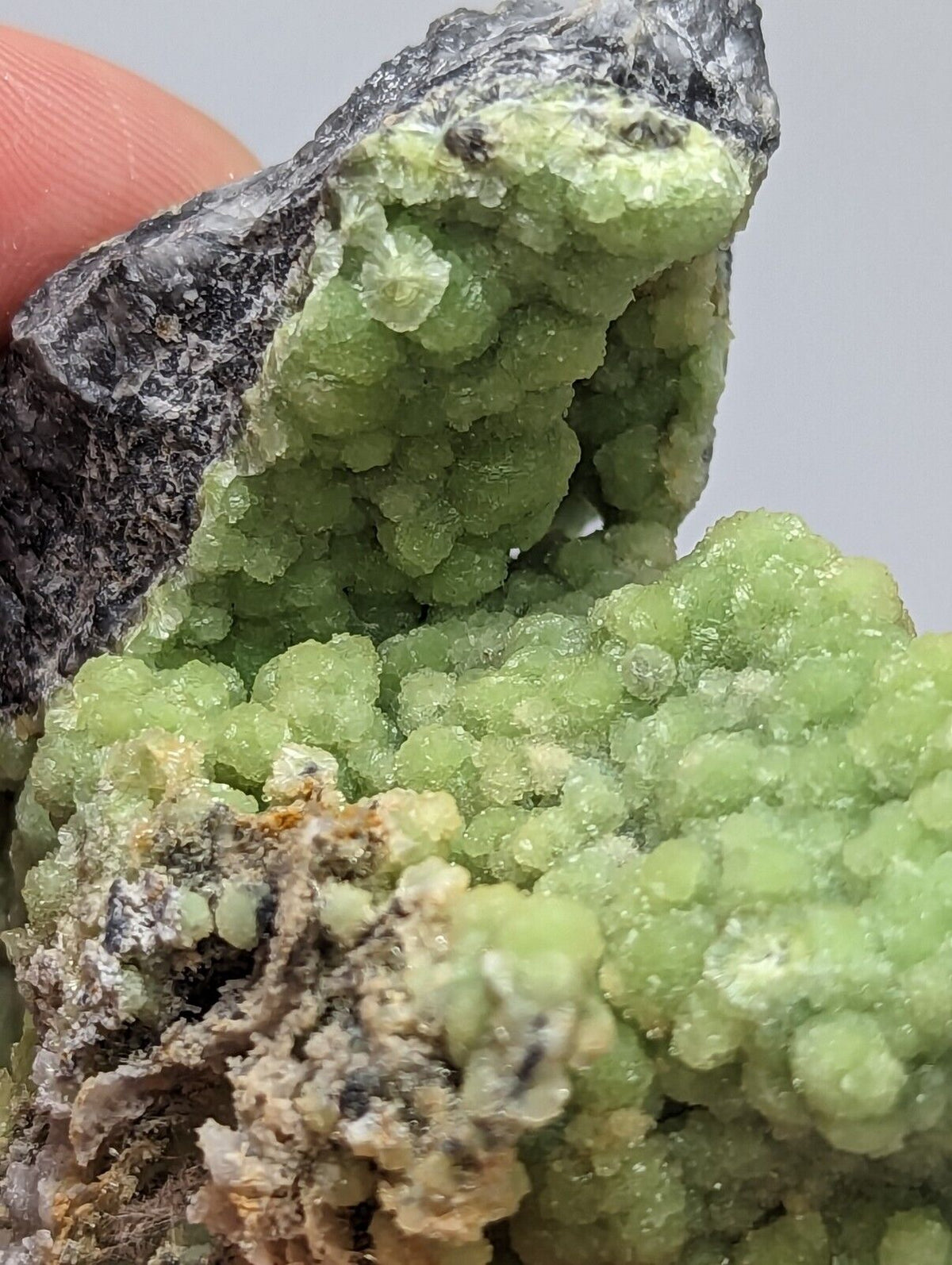 A + Bright Green Wavellite -Unique Stalactite - Mauldin Mountain Arkansas - Collectibles:Rocks Fossils &