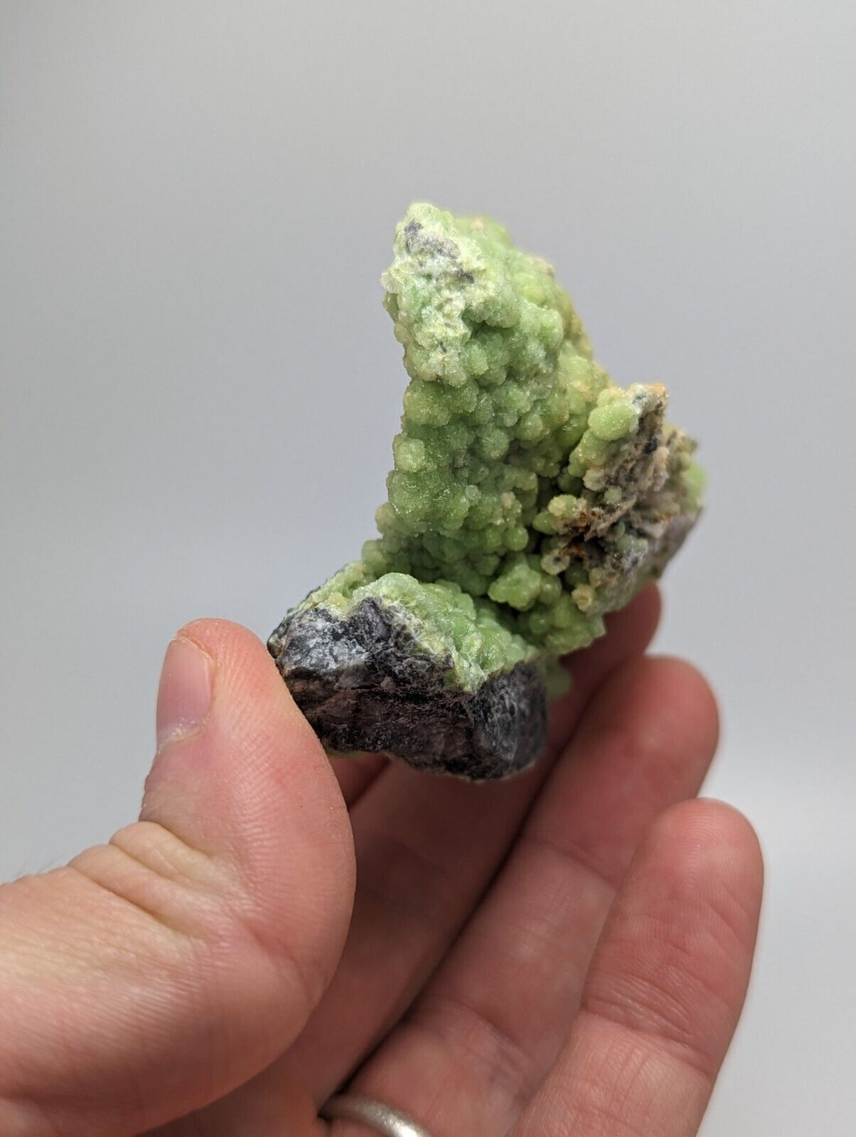 A + Bright Green Wavellite -Unique Stalactite - Mauldin Mountain Arkansas - Collectibles:Rocks Fossils &