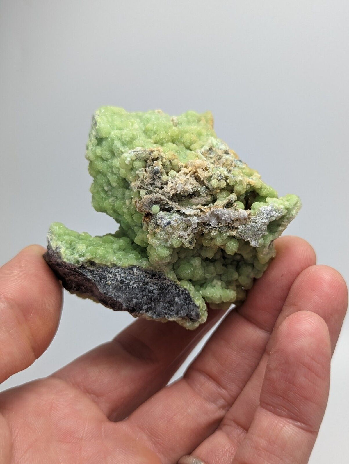 A + Bright Green Wavellite -Unique Stalactite - Mauldin Mountain Arkansas - Collectibles:Rocks Fossils &