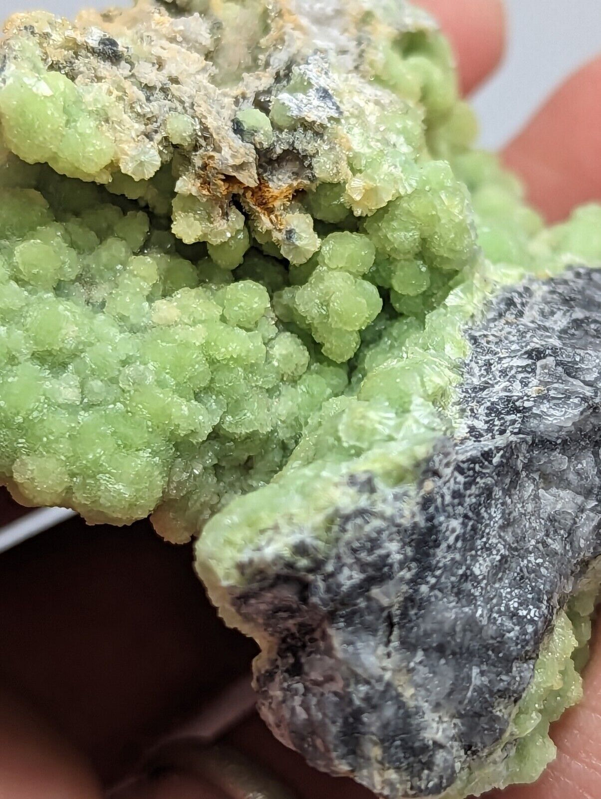 A + Bright Green Wavellite -Unique Stalactite - Mauldin Mountain Arkansas - Collectibles:Rocks Fossils &