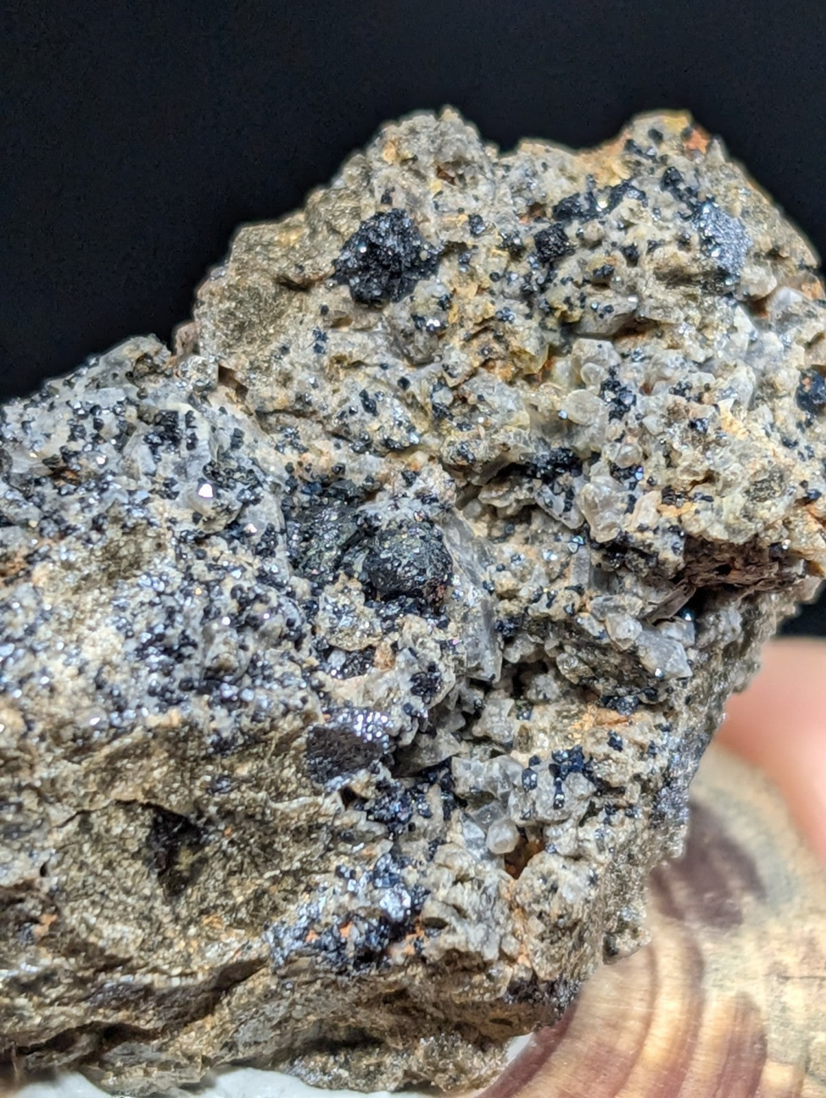 A rugged, textured mineral specimen with a mottled gray and black surface dotted with small crystalline formations.