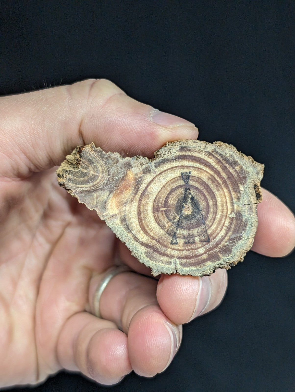 A rustic, irregularly shaped slice of wood with visible growth rings and a dark engraved symbol at its center.