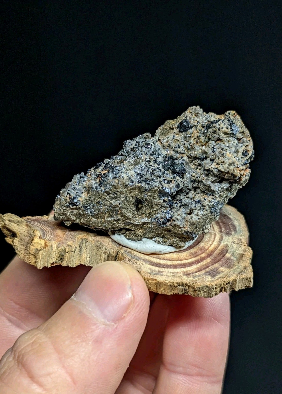 A rugged, dark gray and black speckled rock specimen with a rough, uneven surface rests on a circular slice of wood.