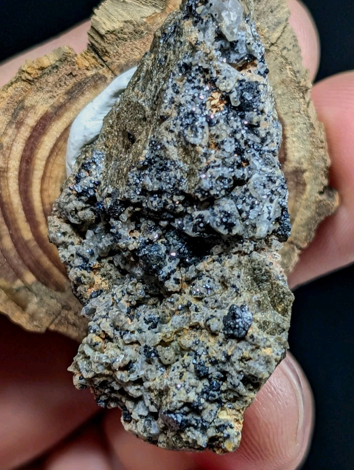 A rugged, irregularly shaped mineral specimen with a textured surface featuring dark gray and black crystalline formations interspersed with lighter speckles.