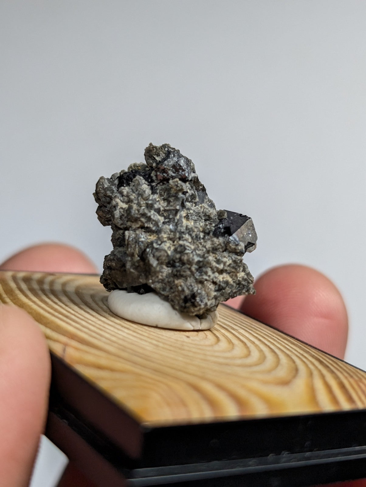 A dark, rough-textured mineral specimen with a few shiny black crystals protruding from its surface.