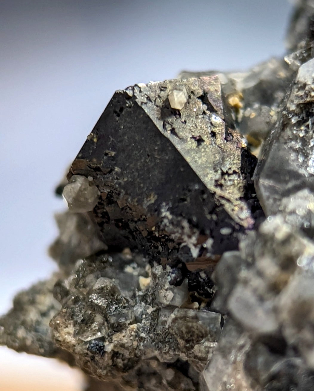 A dark, angular mineral crystal with a metallic sheen and speckled surface.