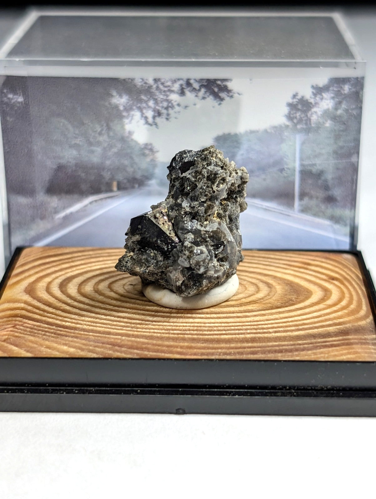 A dark, textured mineral specimen with a rough, irregular surface sits atop a circular white base within a clear acrylic display case.