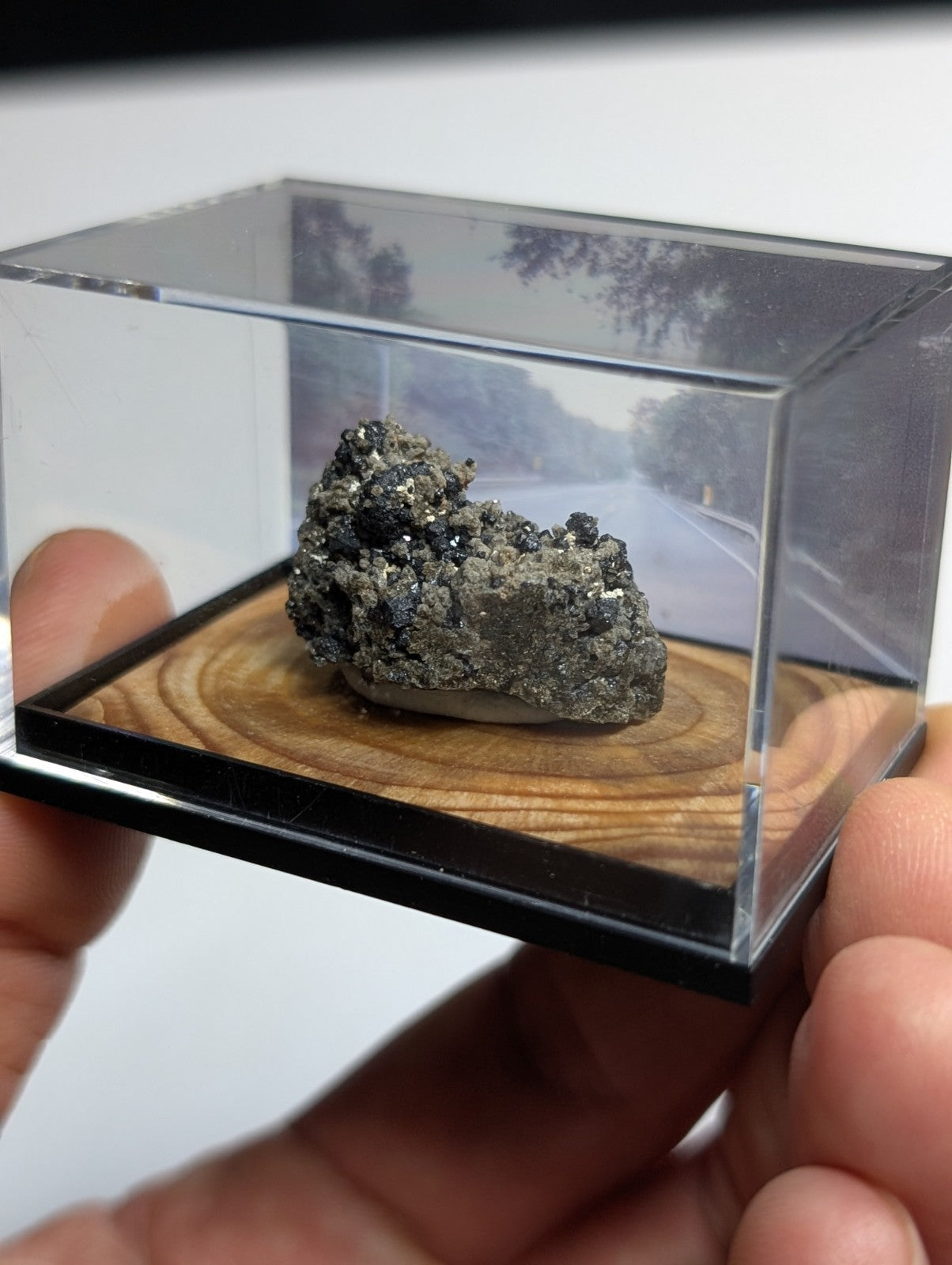 A dark, textured mineral specimen with speckled white crystals rests inside a clear acrylic display case on a wooden base.