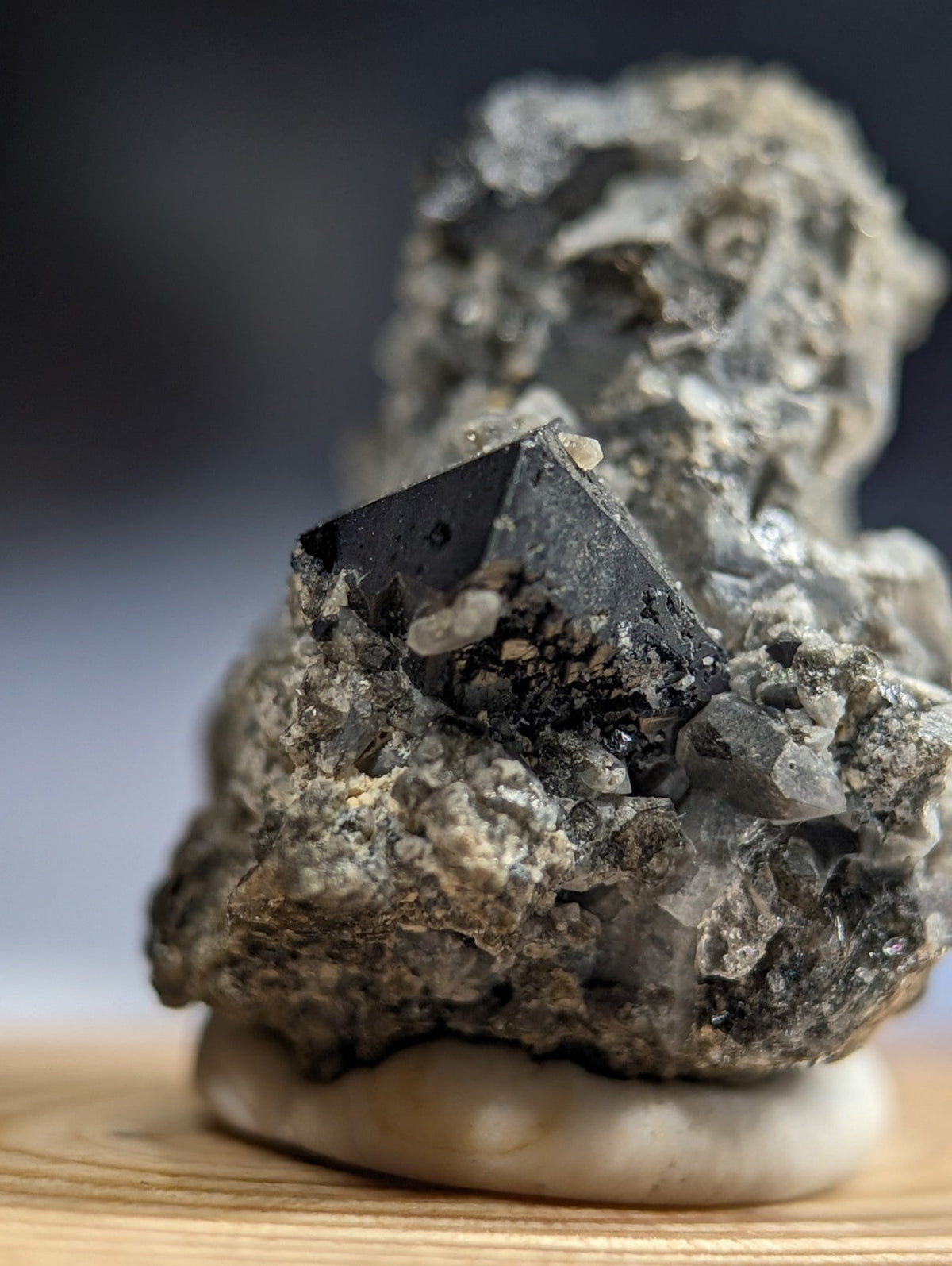 A striking black pyrite crystal emerges from a textured, grayish rock matrix.