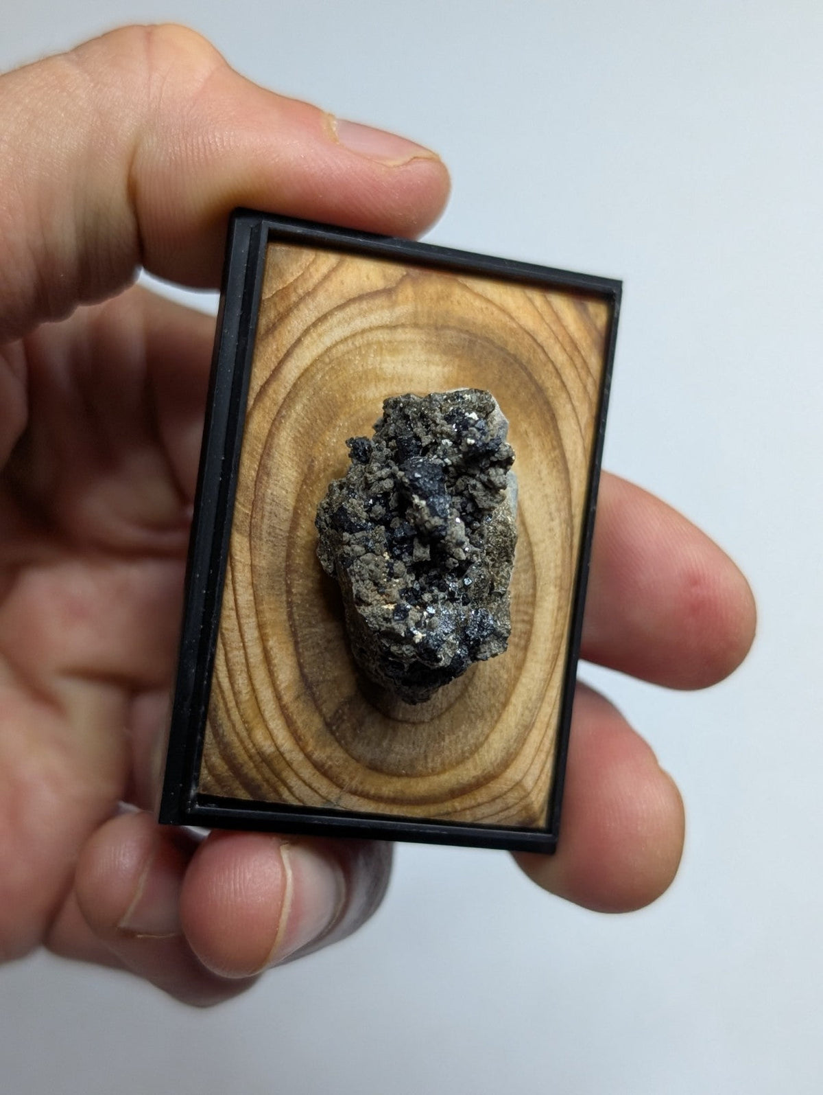 A dark, textured mineral specimen with metallic sheen displayed in a rectangular wooden frame.