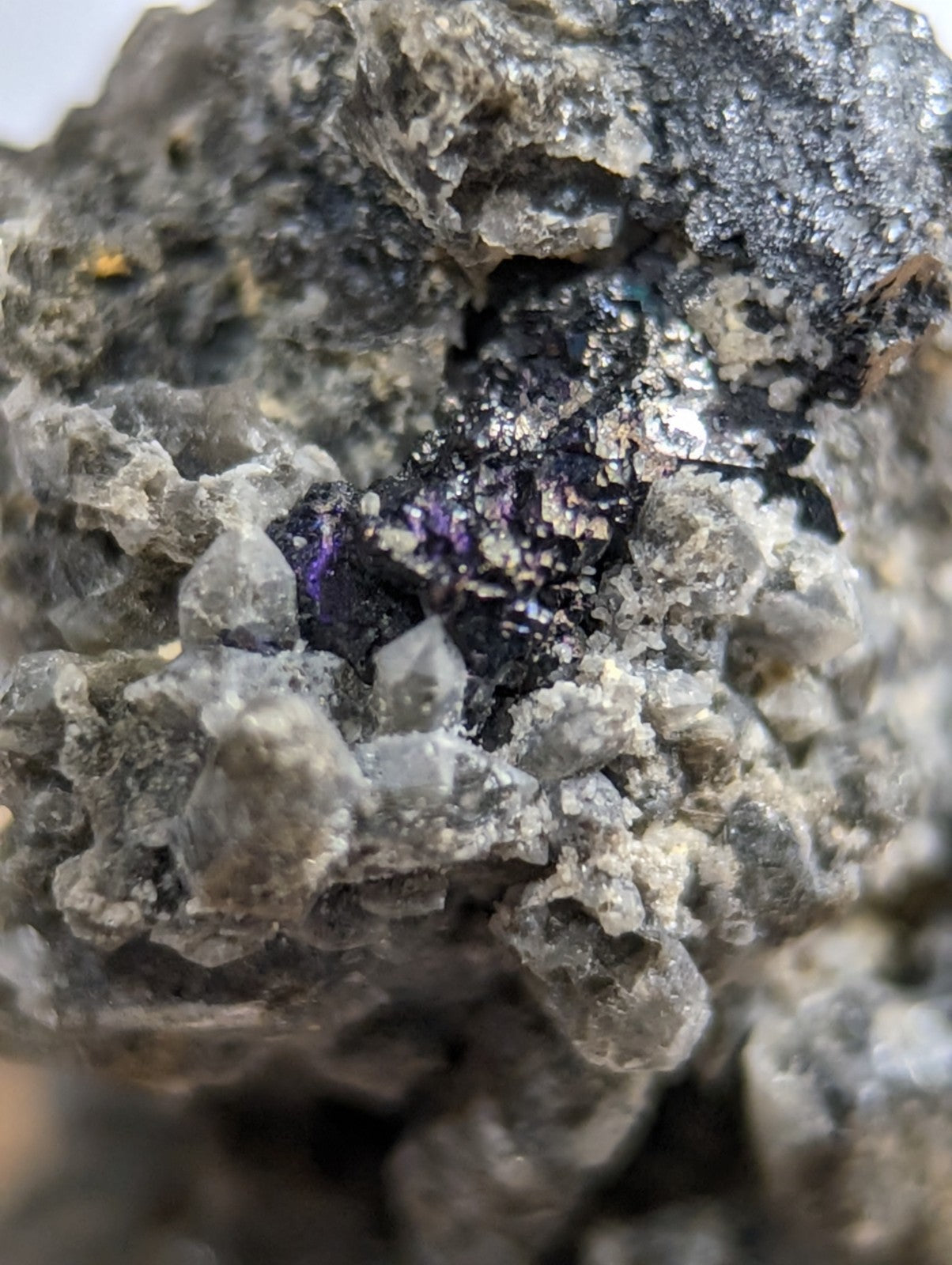 A striking purple and black metallic mineral specimen nestled within a rough, gray rock matrix.