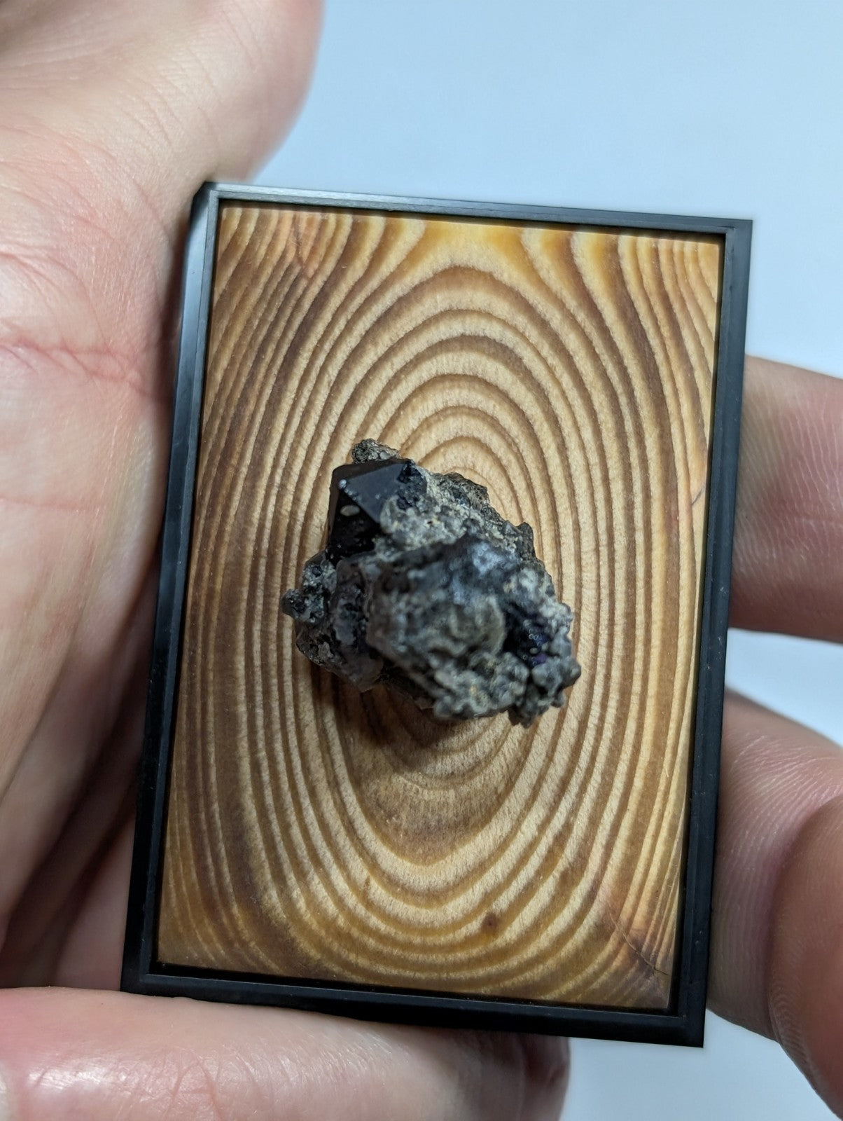 A dark, rough-textured mineral specimen mounted on a rectangular wooden display panel with concentric wood grain patterns and framed in black.