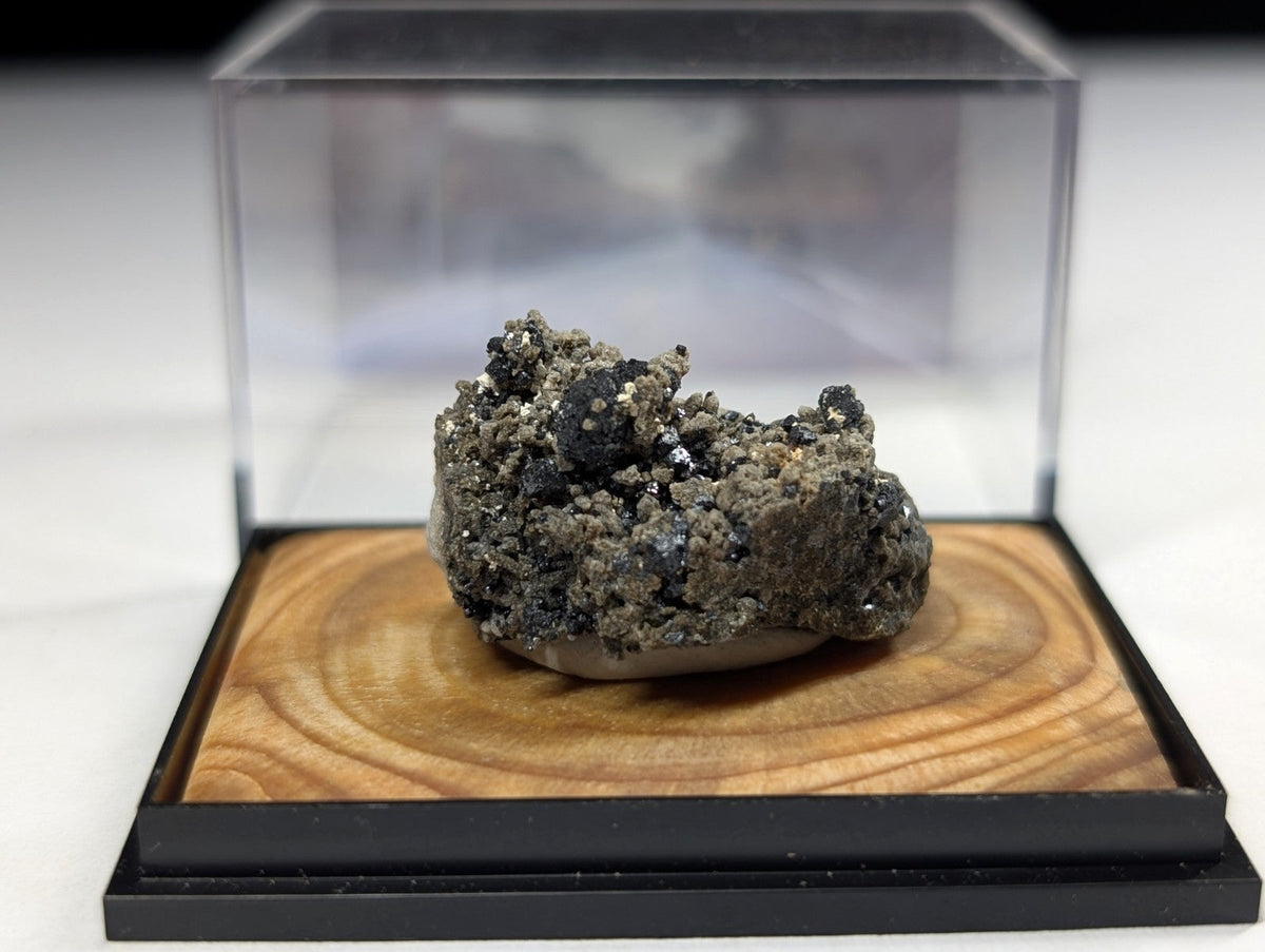 A dark gray, textured mineral specimen with metallic flecks rests inside a clear acrylic display case on a wooden base.
