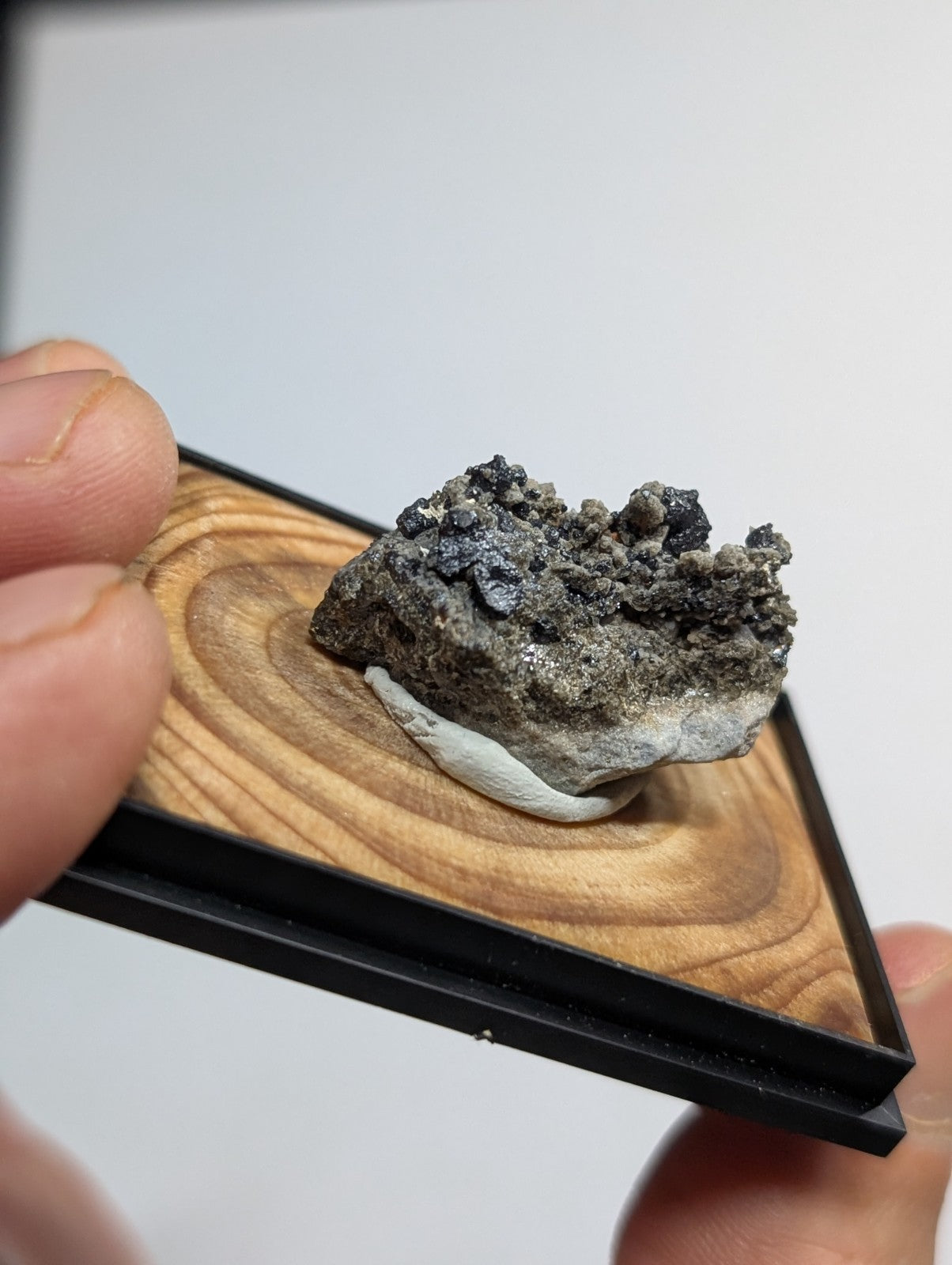 A gray, textured mineral specimen with dark nodules and a white base rests on a wooden display tray.