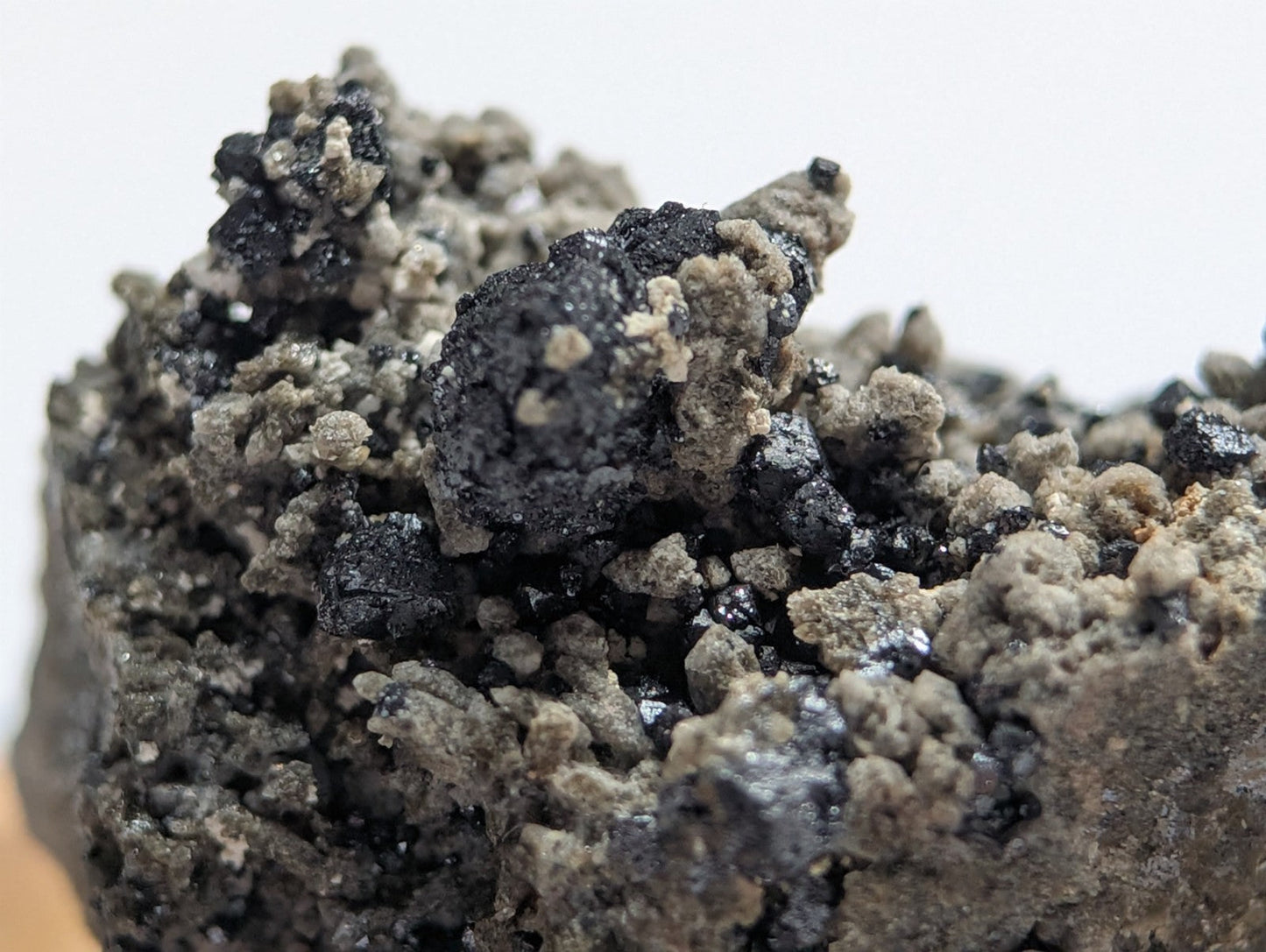 A rugged, textured mineral specimen featuring a striking contrast between glossy black crystals and rough, grayish matrix material.